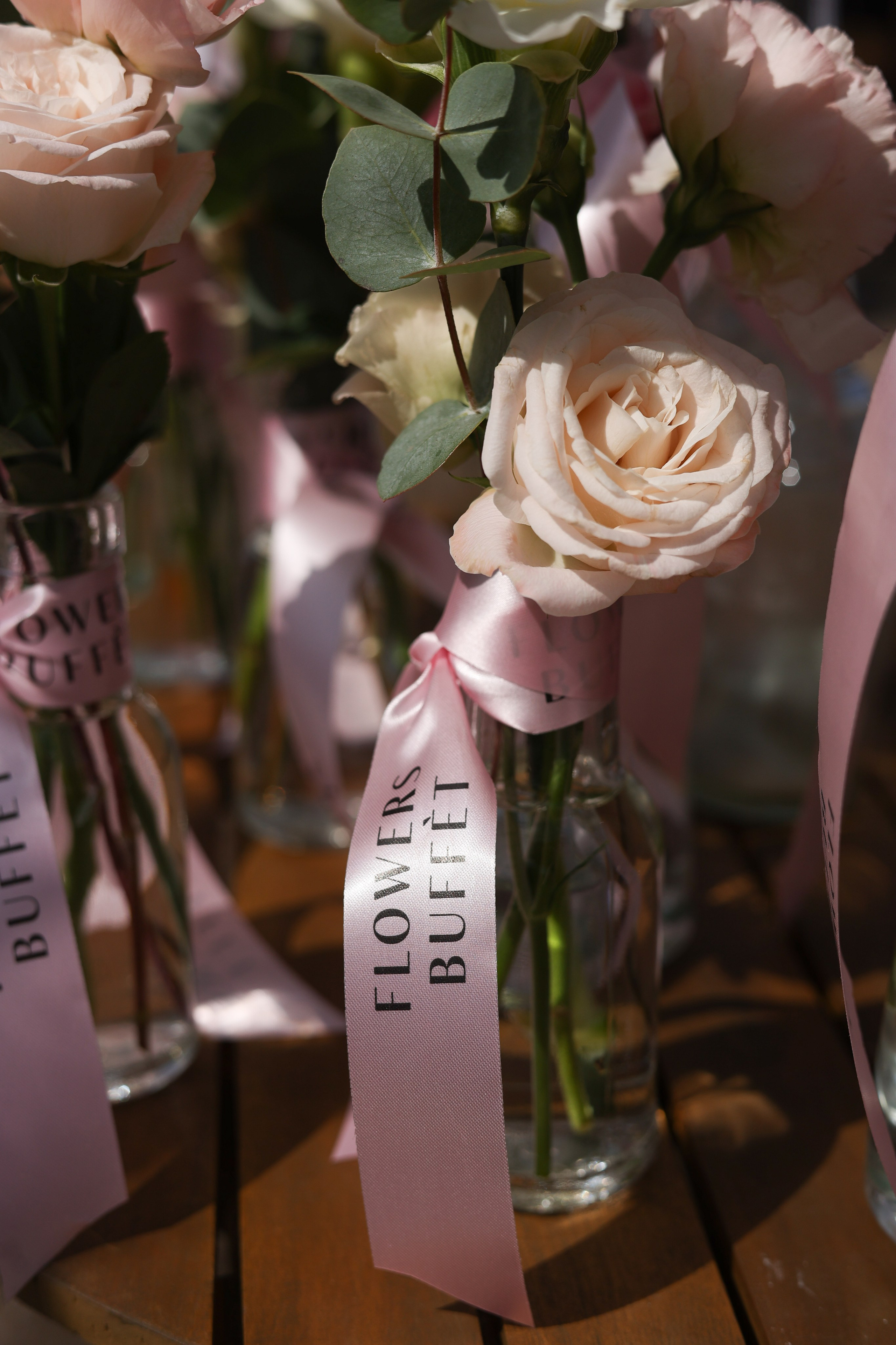 Апероль 1 годик. Фотограф Санкт-Петербург