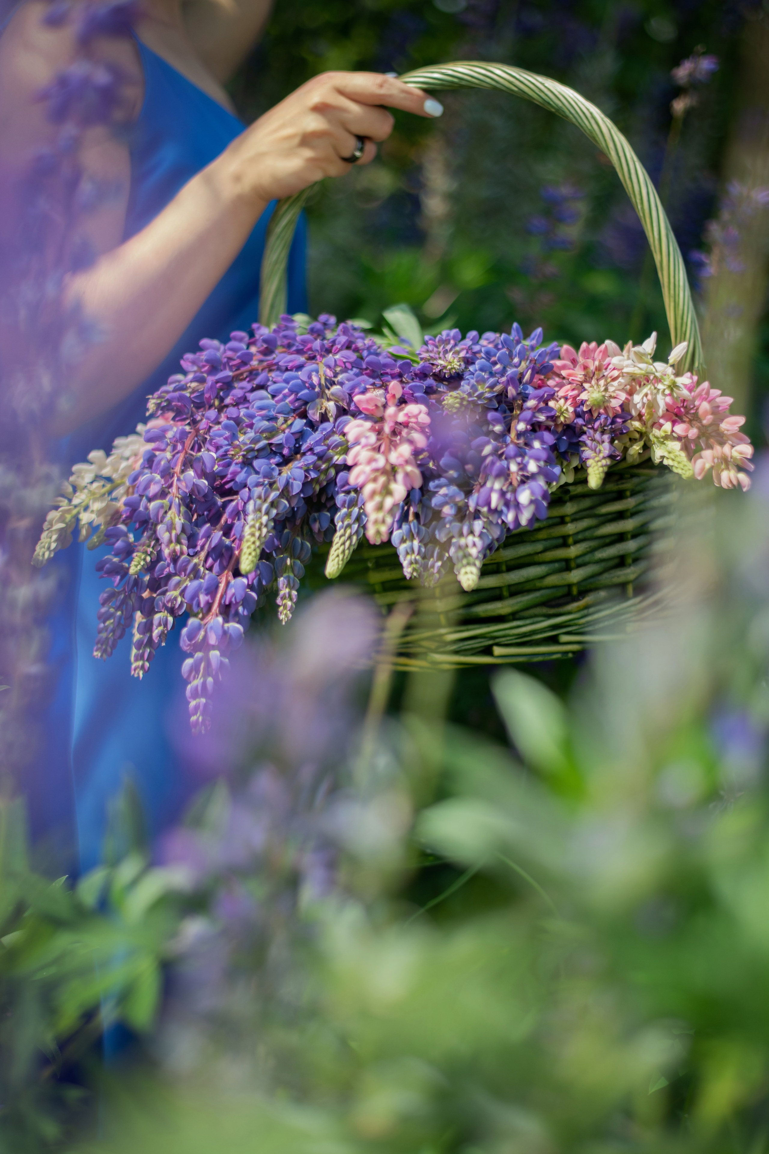 Фотопрогулки (лето). Лина Курочка — ваш фотограф