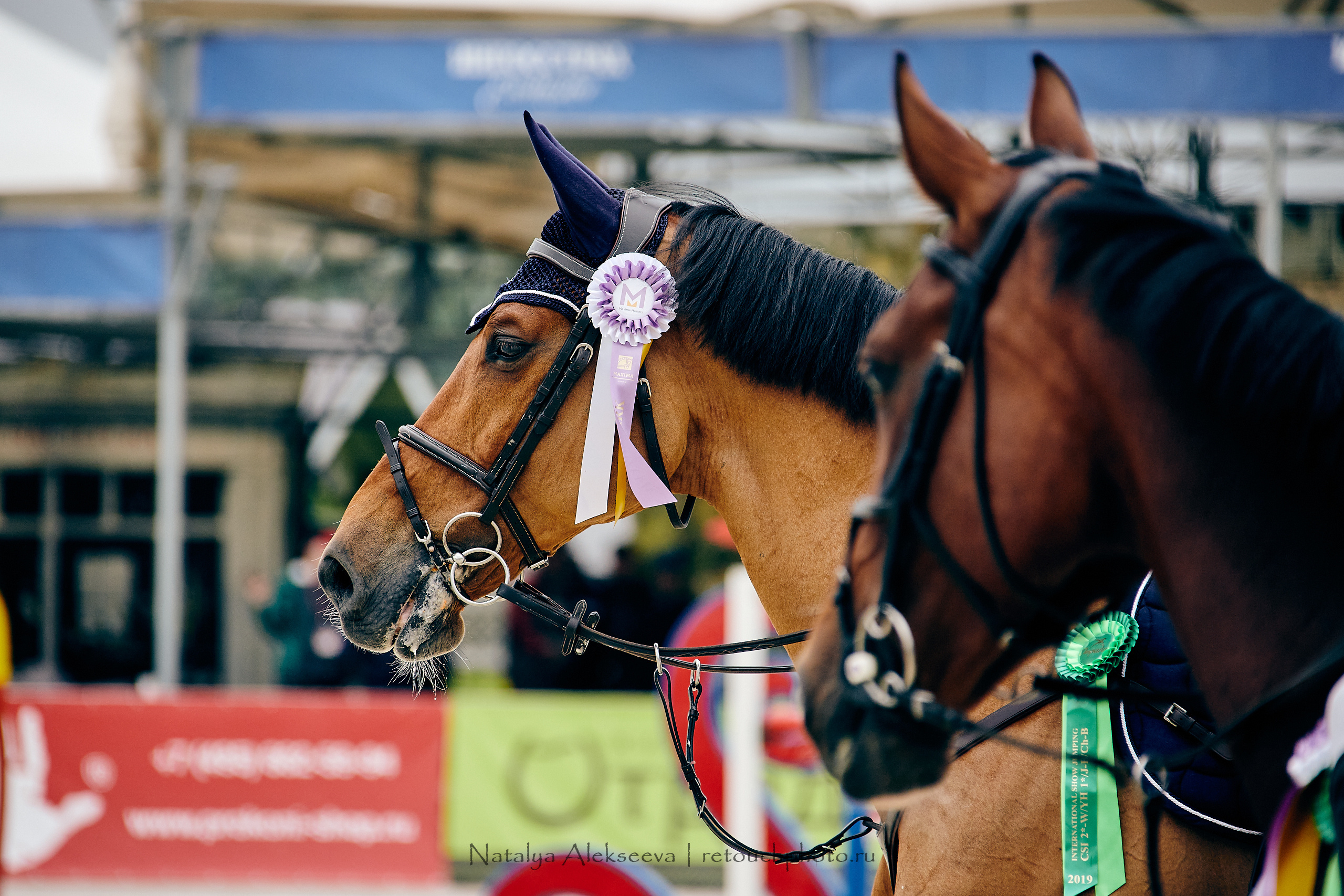 FEI World Cup, КСК Отрада | 05'2019. Репортажный фотограф и ретушер в Москве Наталья Алексеева