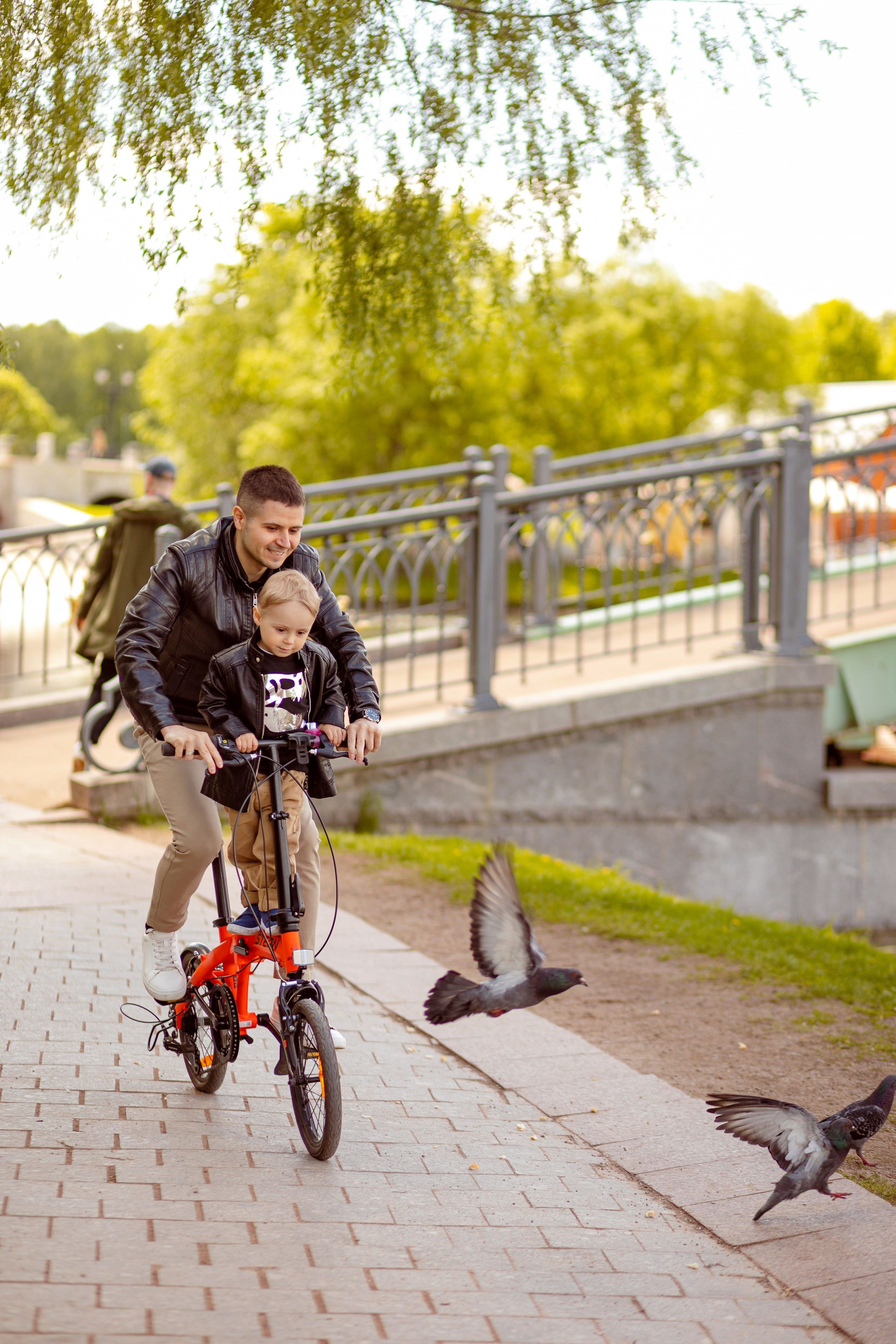Отец сыном едут вместе на велосипеде и разгоняют голубей