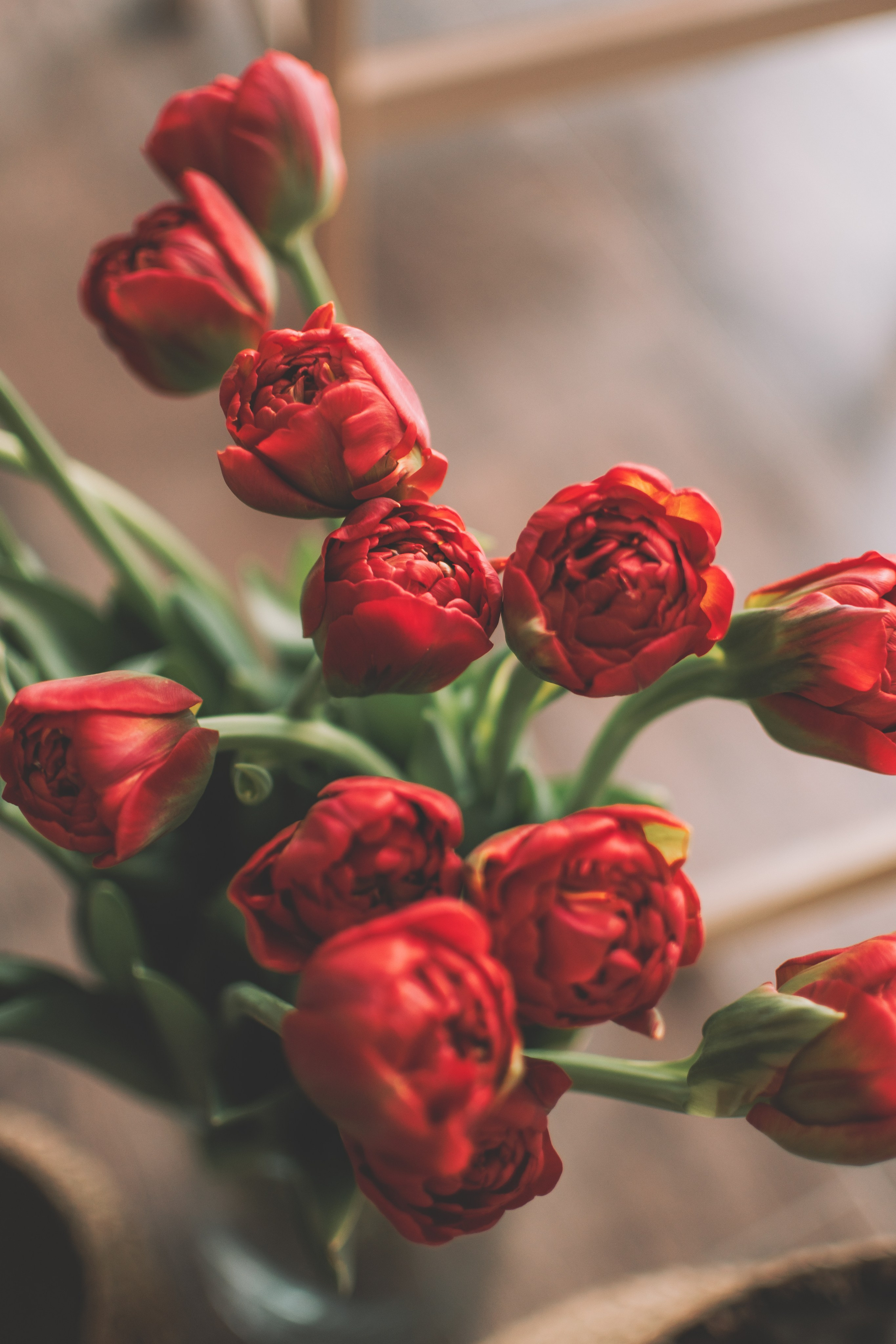 Анна. Семейный и свадебный фотограф Губкинский и Ставрополь