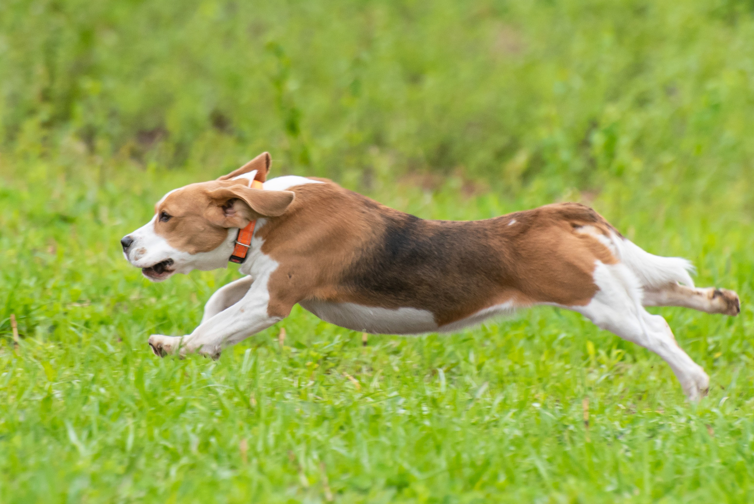 Фотографии с Курсинга. Фотограф Макс Огурцов в Нижнем Новгороде