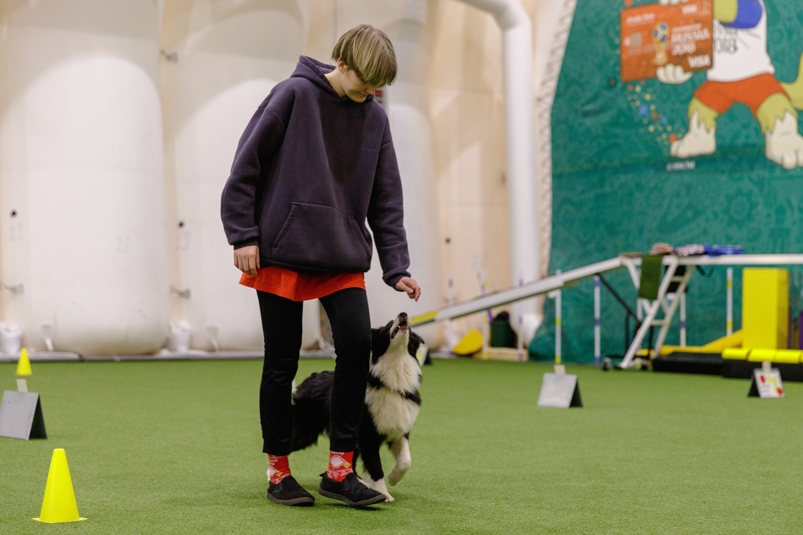 Кубрау. BLGKV питомник собак