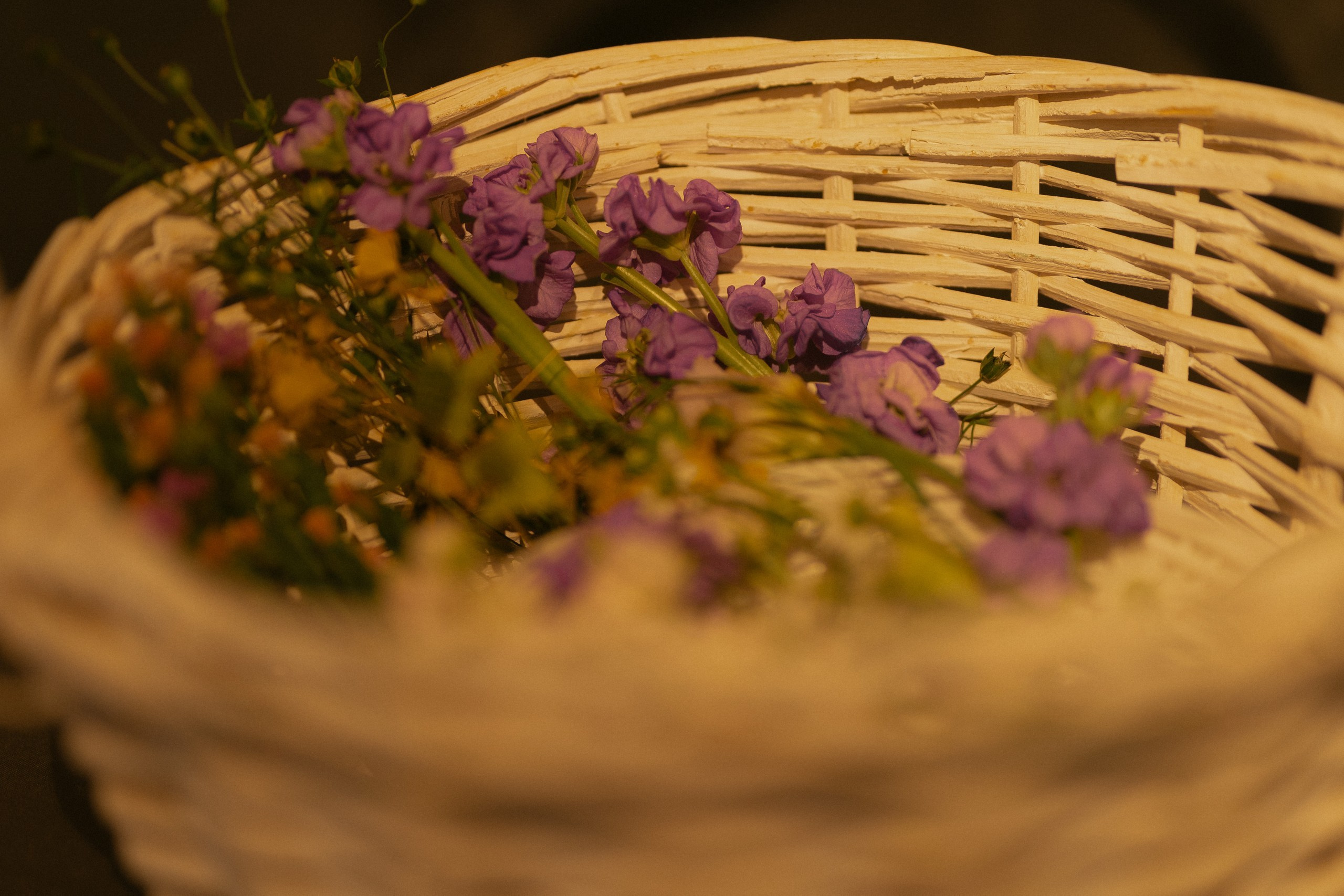 Василиса и Ярослав. Главная