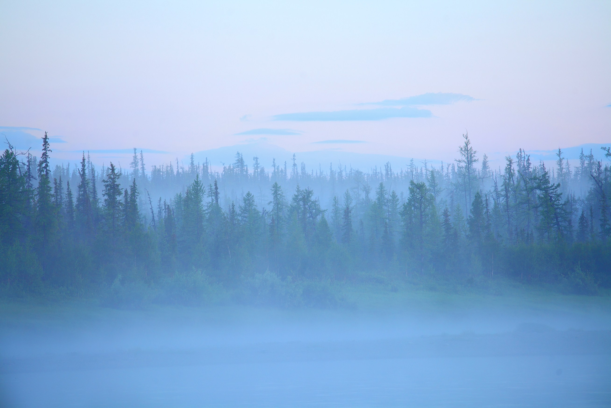 Полярный Урал. Свадебный и репортажный фотограф в Ярославле и Санкт-Петербурге Роман Микрюков