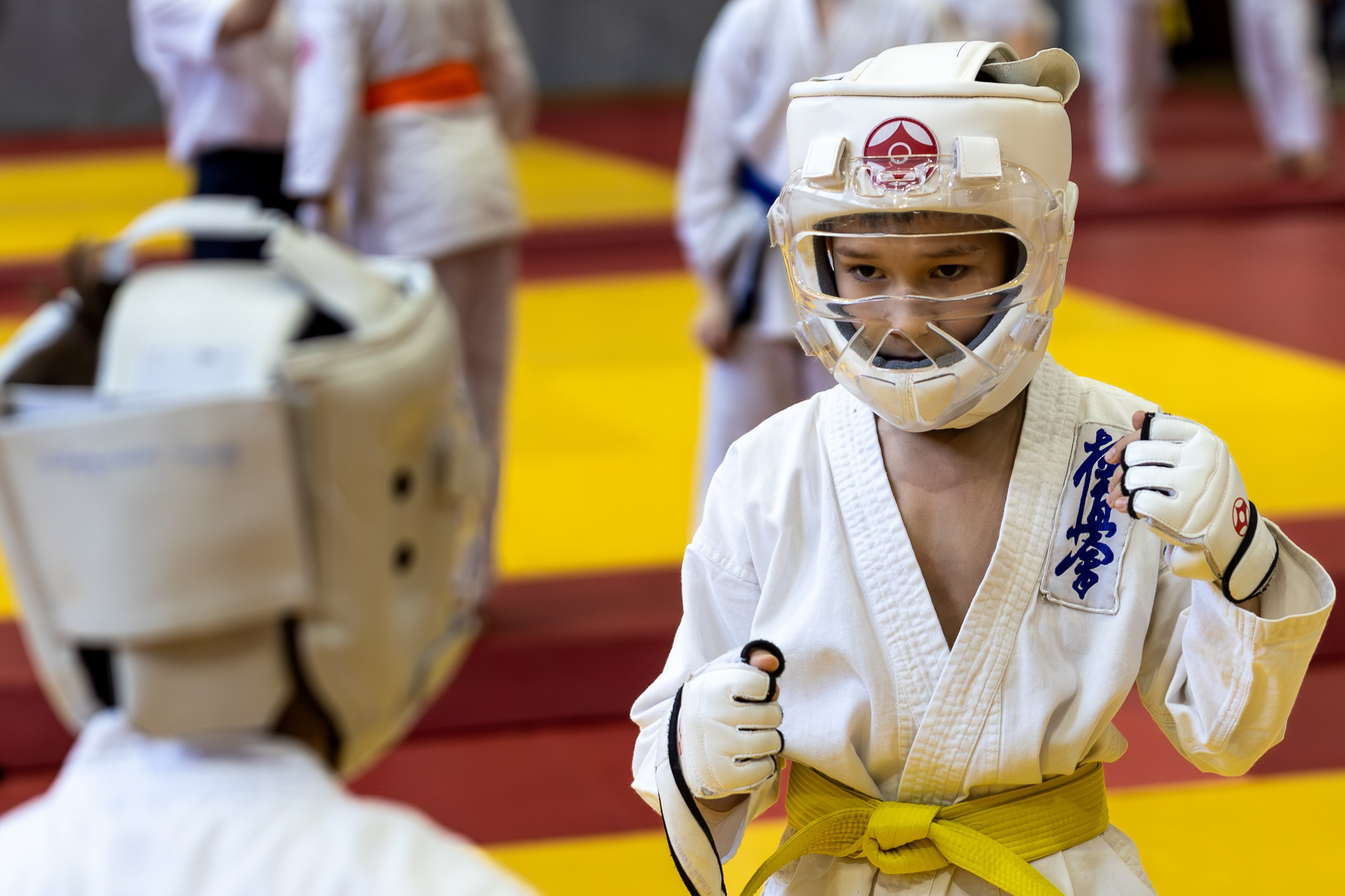 Карате кумите. Главная