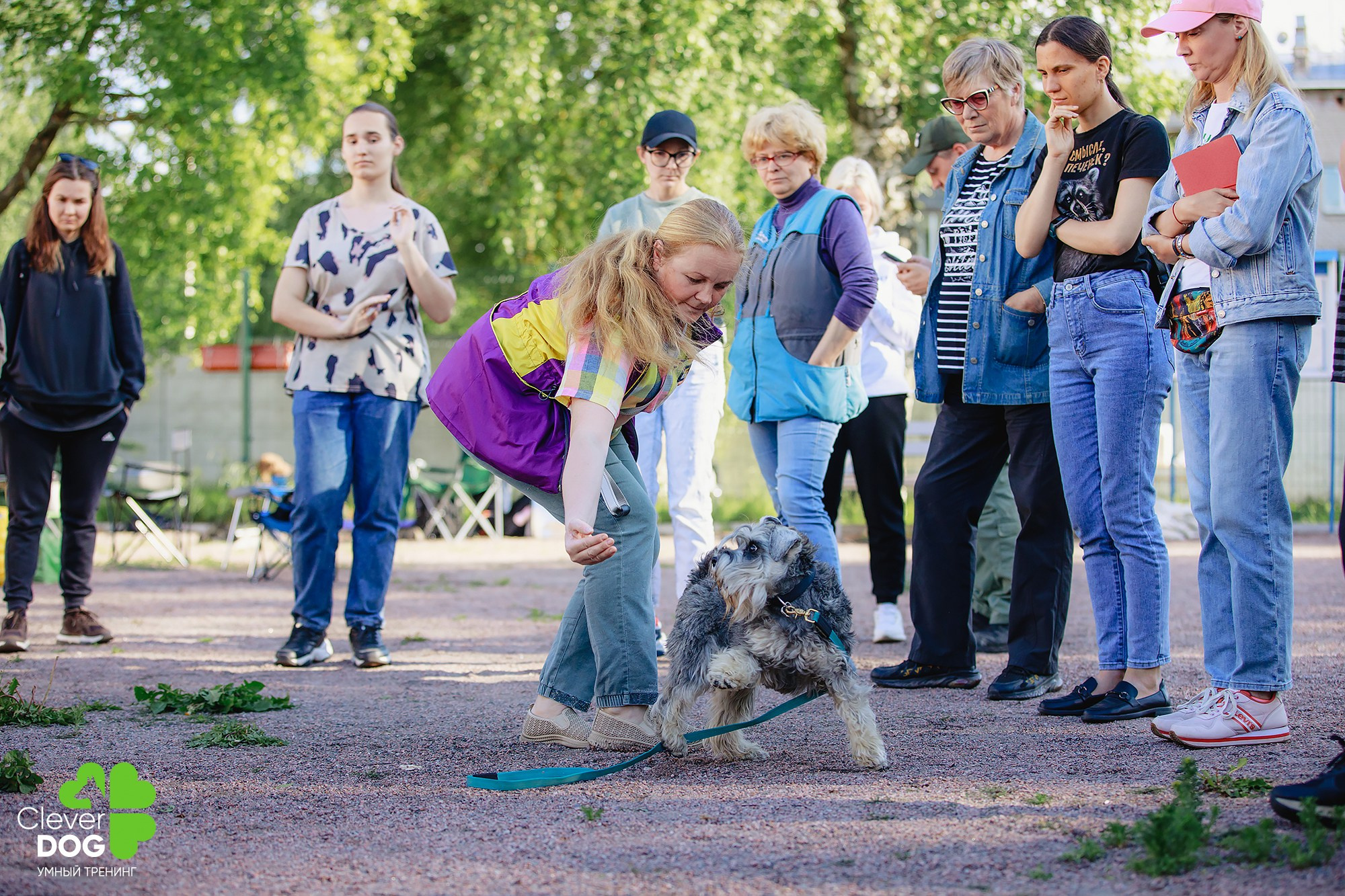 Семинар по поиску запаха с Иваном Ломовым, организатор CleverDog, СПб. Фотограф-анималист Mary Mart — Москва, Питер