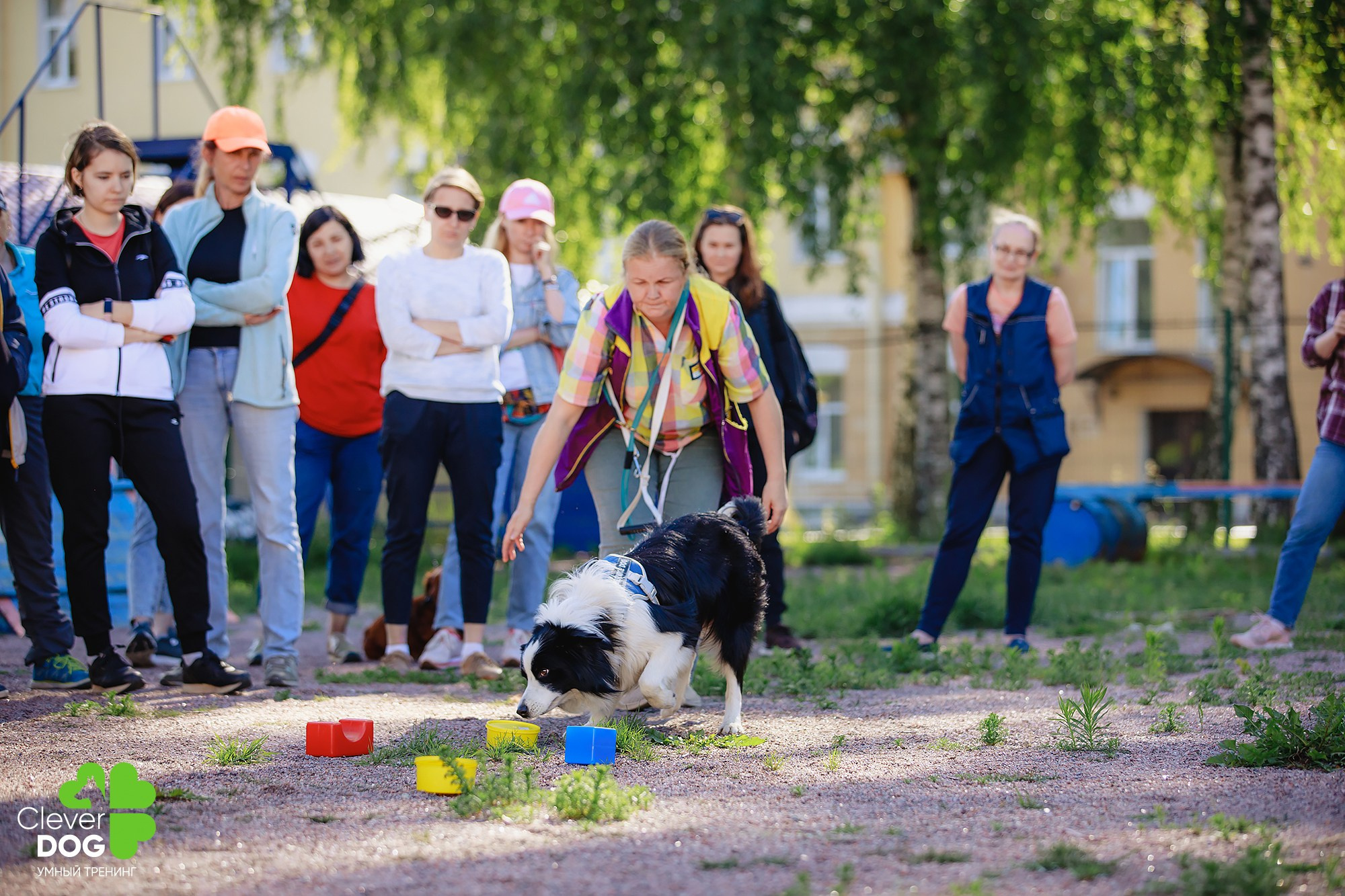 Семинар по поиску запаха с Иваном Ломовым, организатор CleverDog, СПб. Фотограф-анималист Mary Mart — Москва, Питер