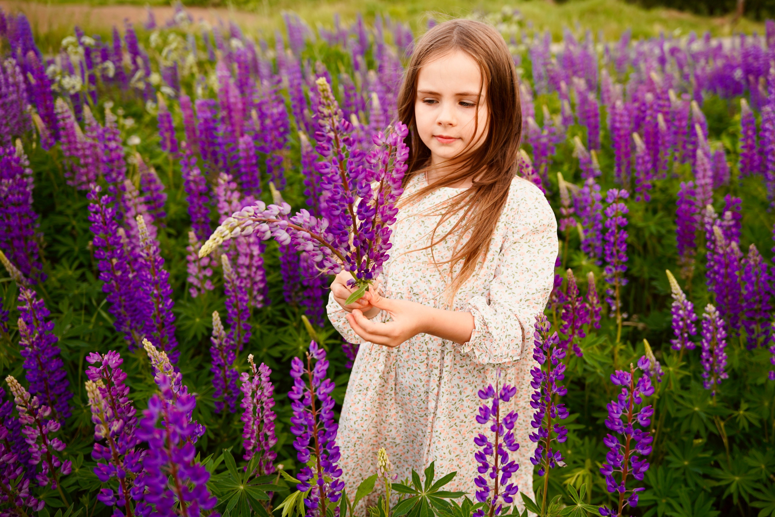 Когда цветут люпины. Семейный и детский фотограф Александра Гвоздикова