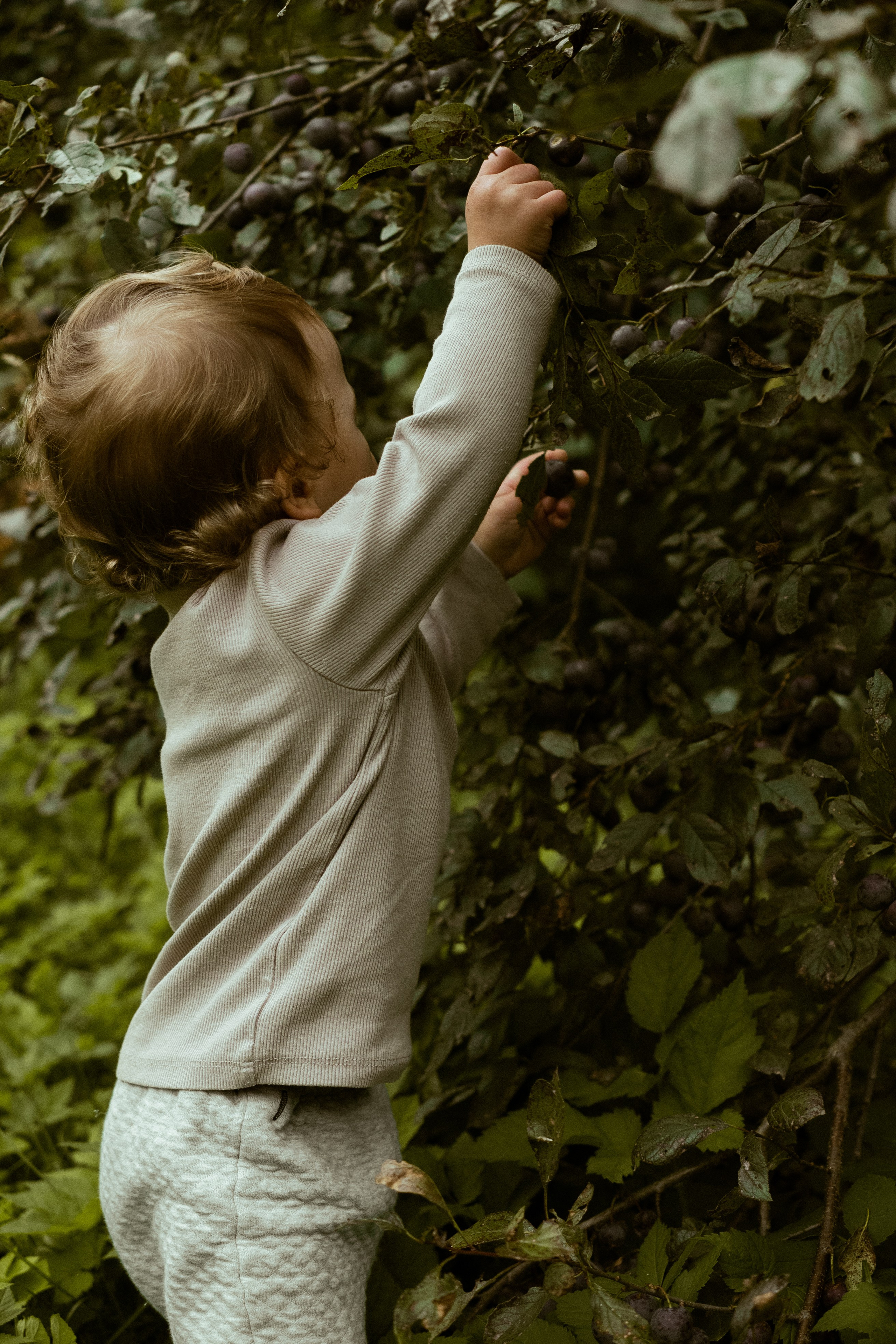 Даша и Миша. Искусство фотографии. Фотограф | продюсер из Москвы — Лизочек