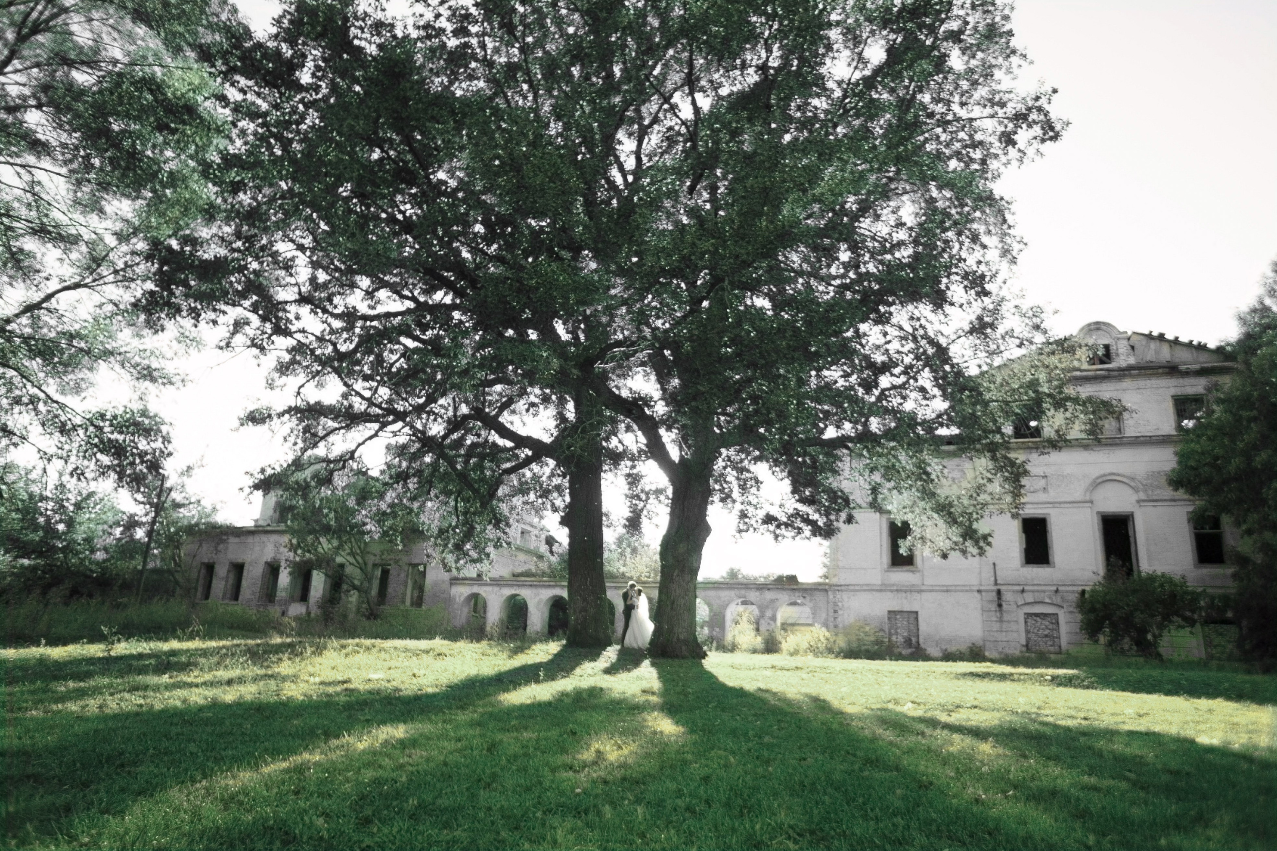 Михаил и Софья. Учаева Екатерина Свадебный и Семейный фотограф г. Сызрань
