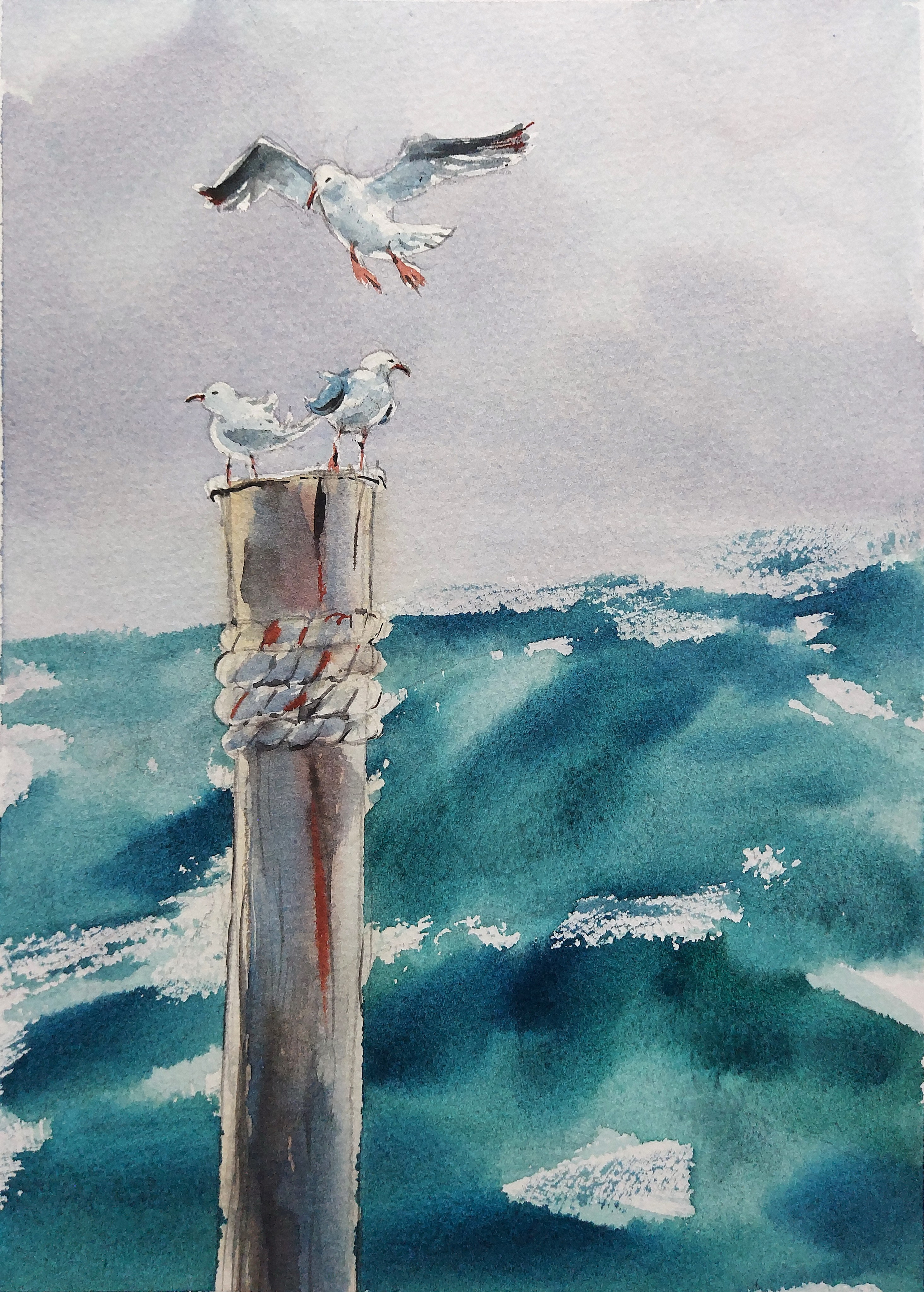 Sea Gulls | February 2024 | 20 x 28 cm | N/a
