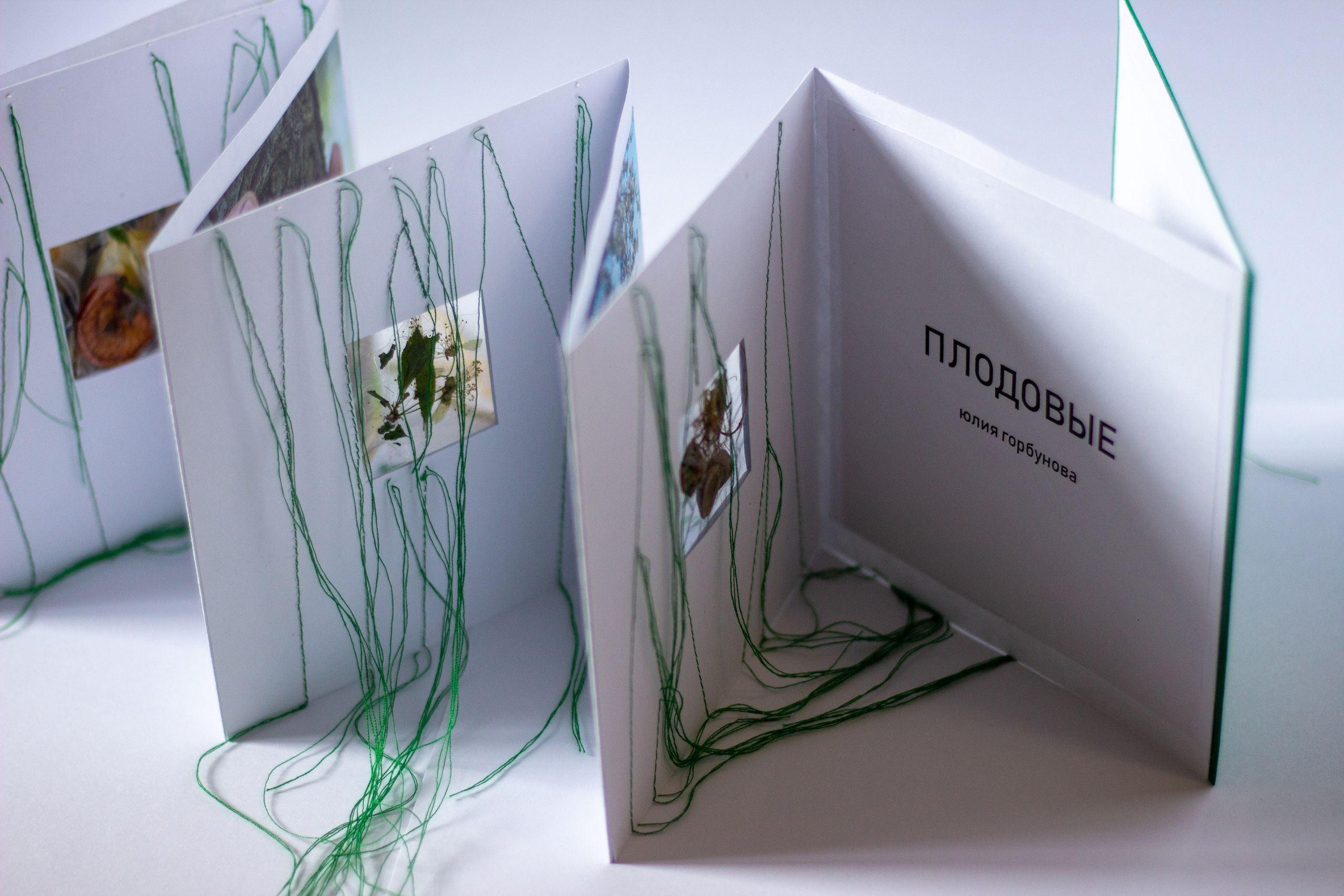Плодовые (2024 — в процессе). Julia Gorbunova