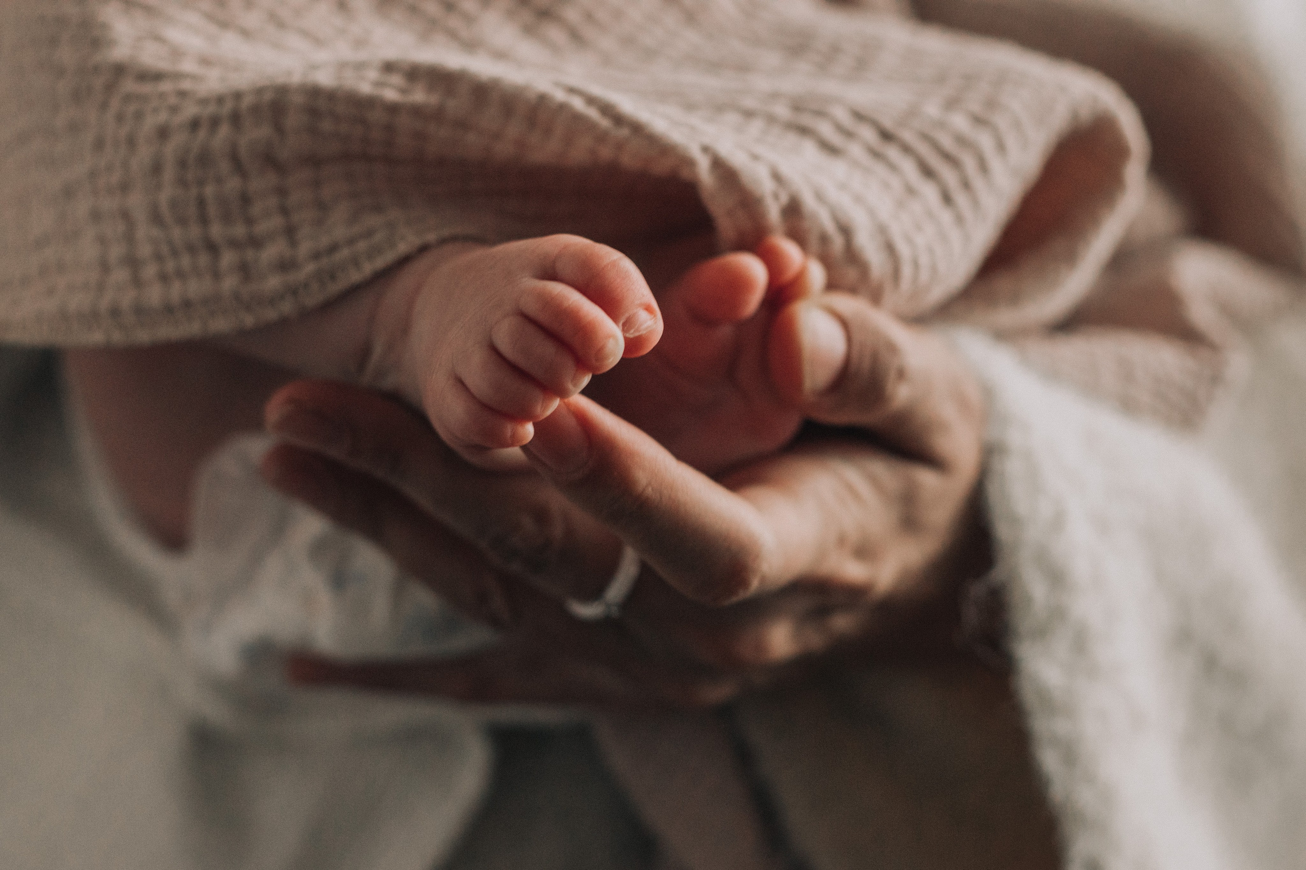 Втроем. Семейный фотограф Санкт-Петербург СПб Анастасия Гаврилюк