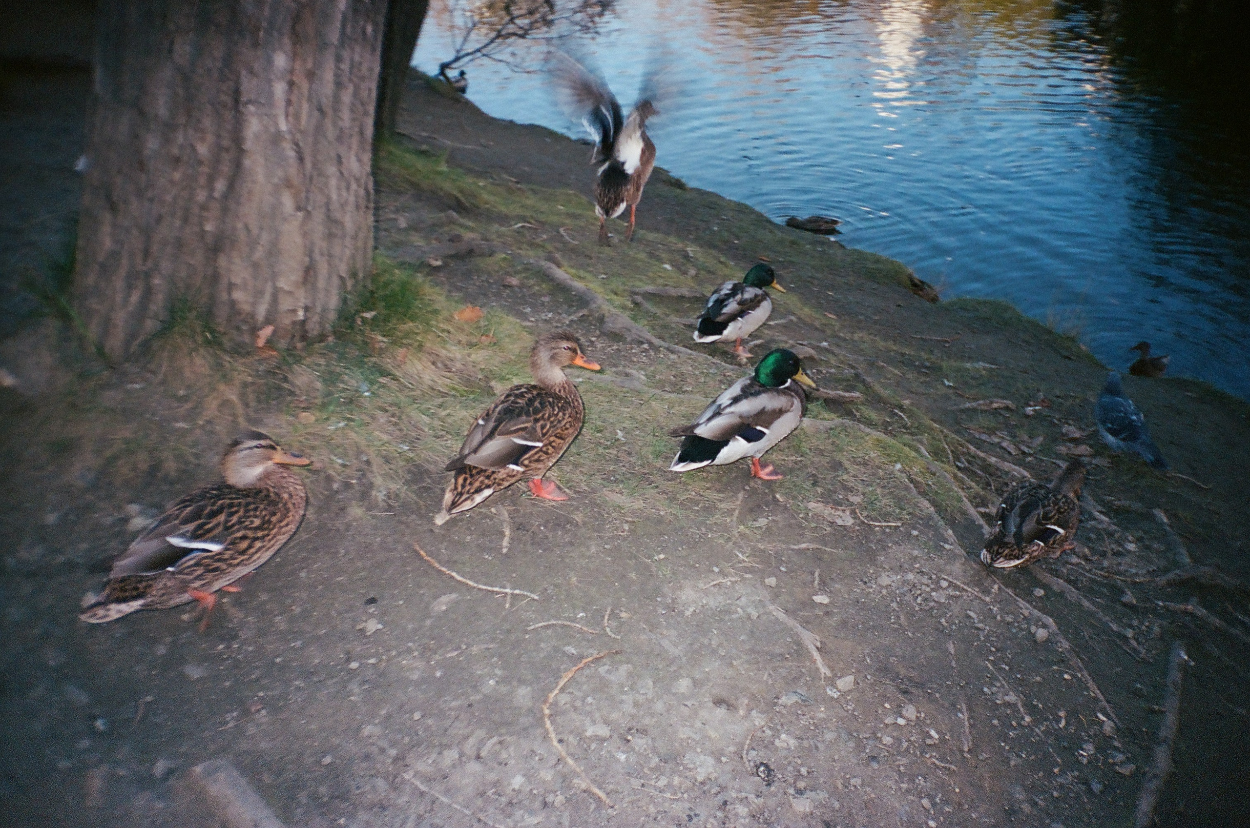 Kodak Portra 400. Место {не}банальных фото