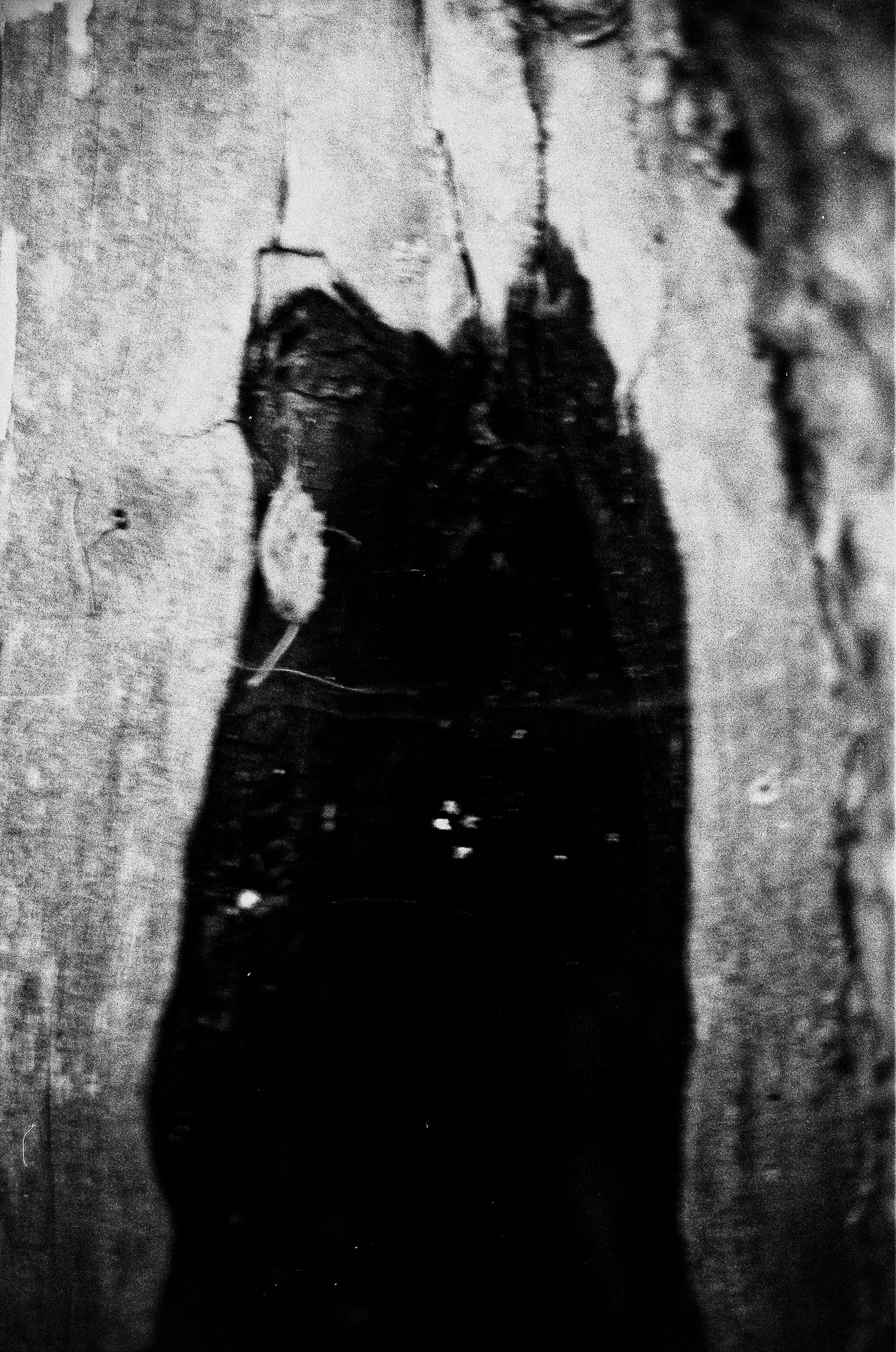 Ты, пожалуйста, не болей!. Katya Medvedeva