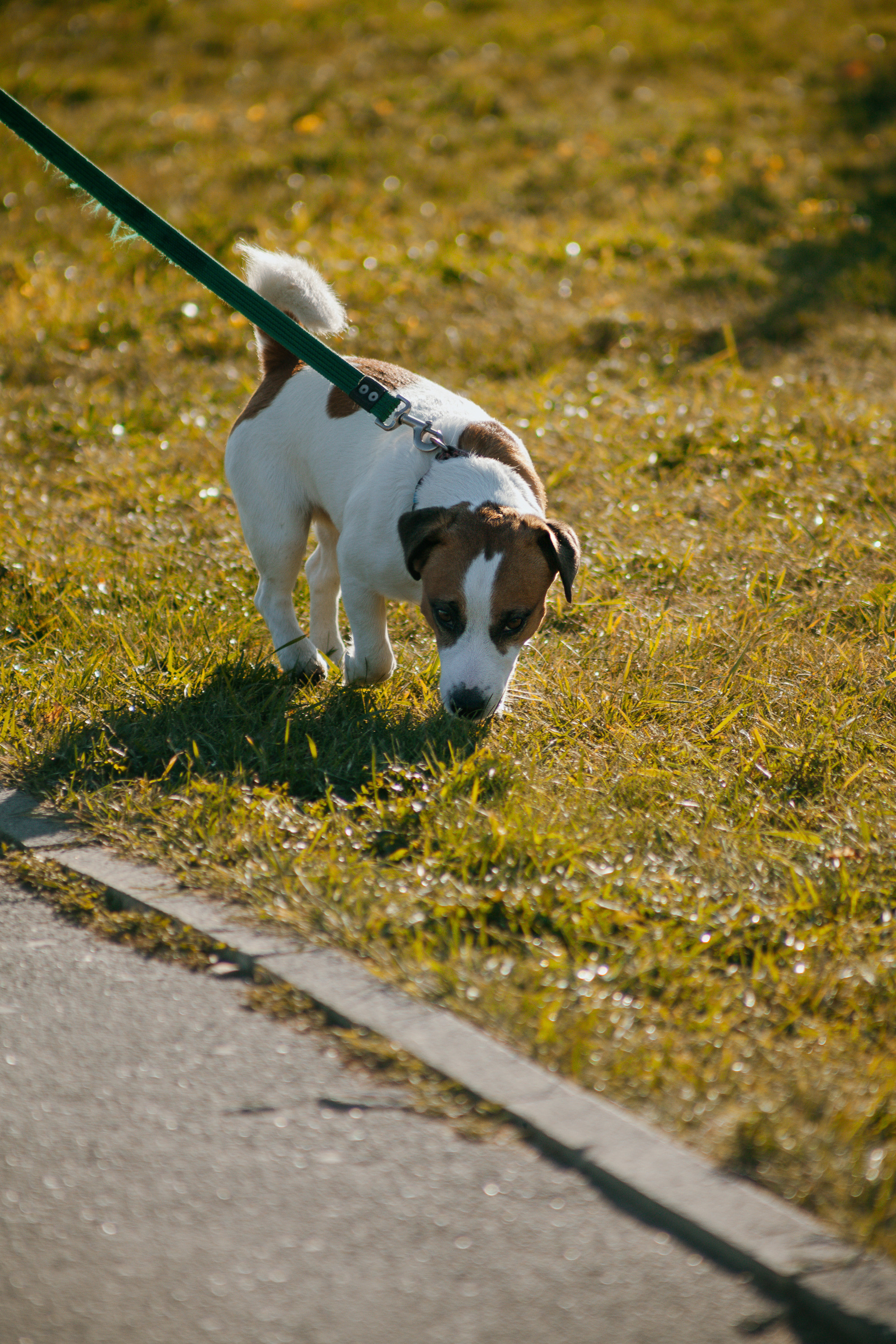 Октябрь. Портретный фотограф Елена Матафонова Барнаул