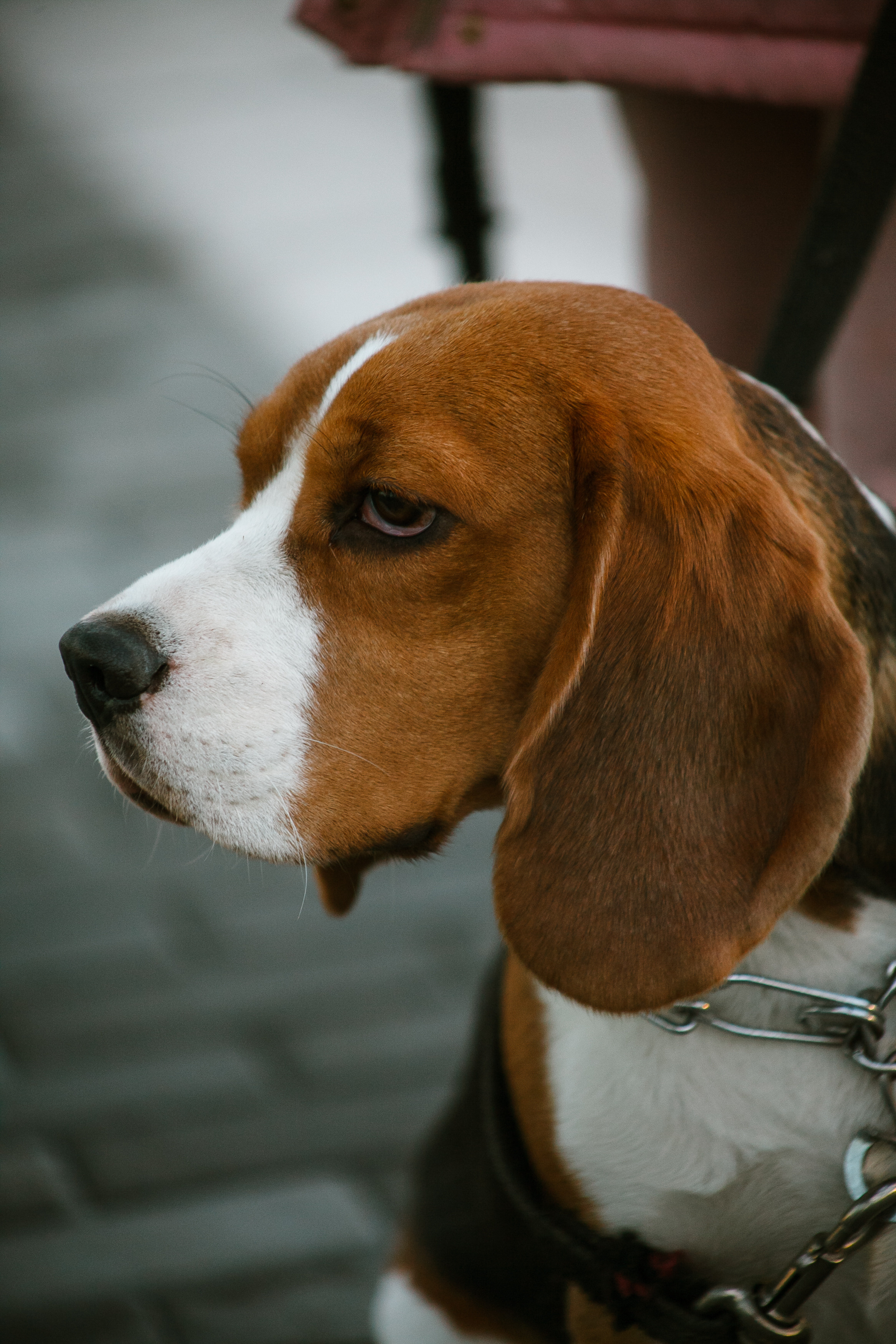 Октябрь. Портретный фотограф Елена Матафонова Барнаул