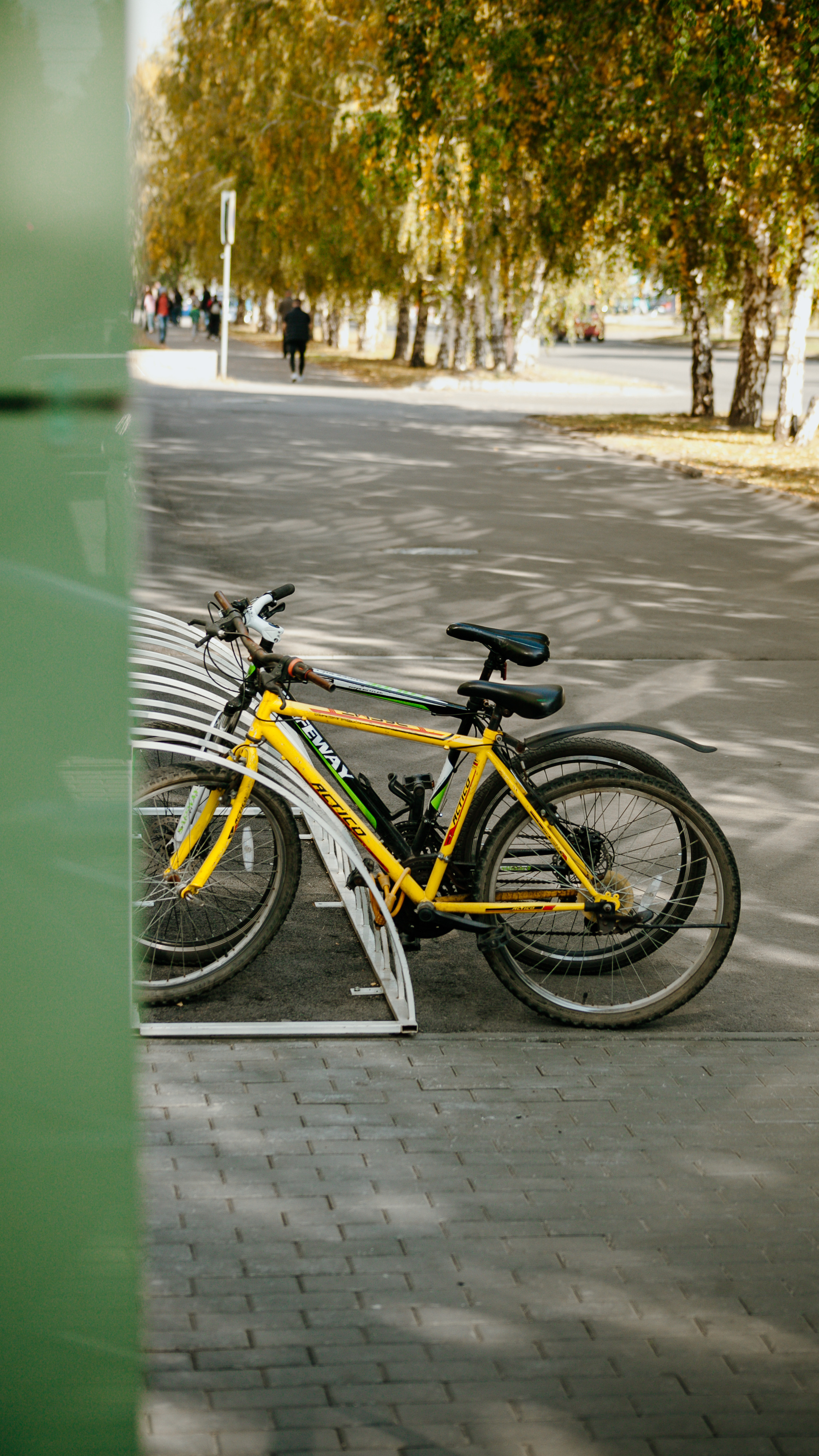 Сентябрь. Портретный фотограф Елена Матафонова Барнаул