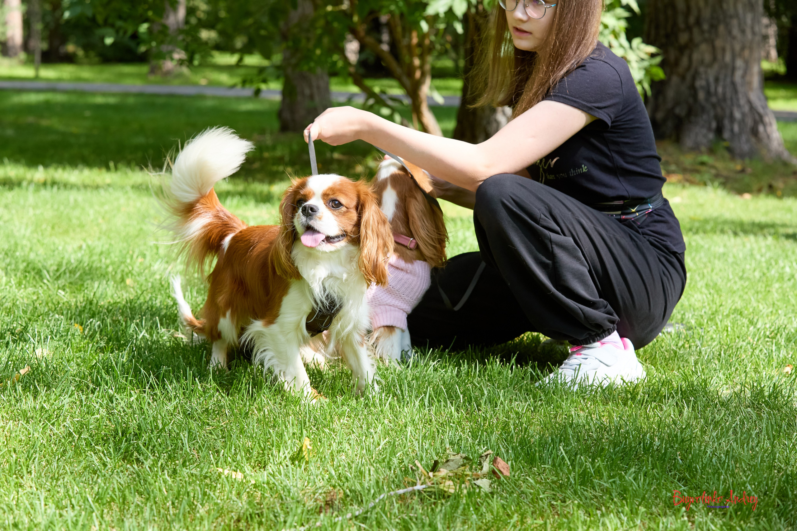 Фотопрогулка с кавалерами. Buyvolenko Andrey