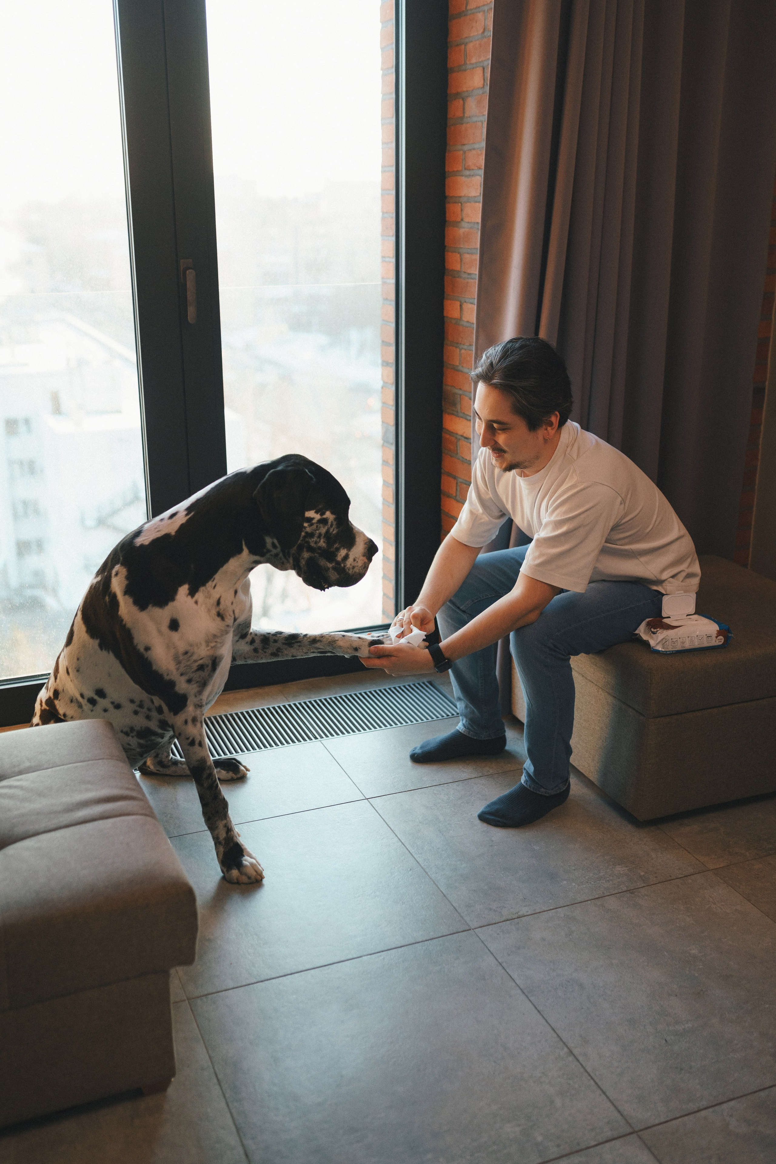 M-Pets. Фотограф анималист Осипчикова Мария