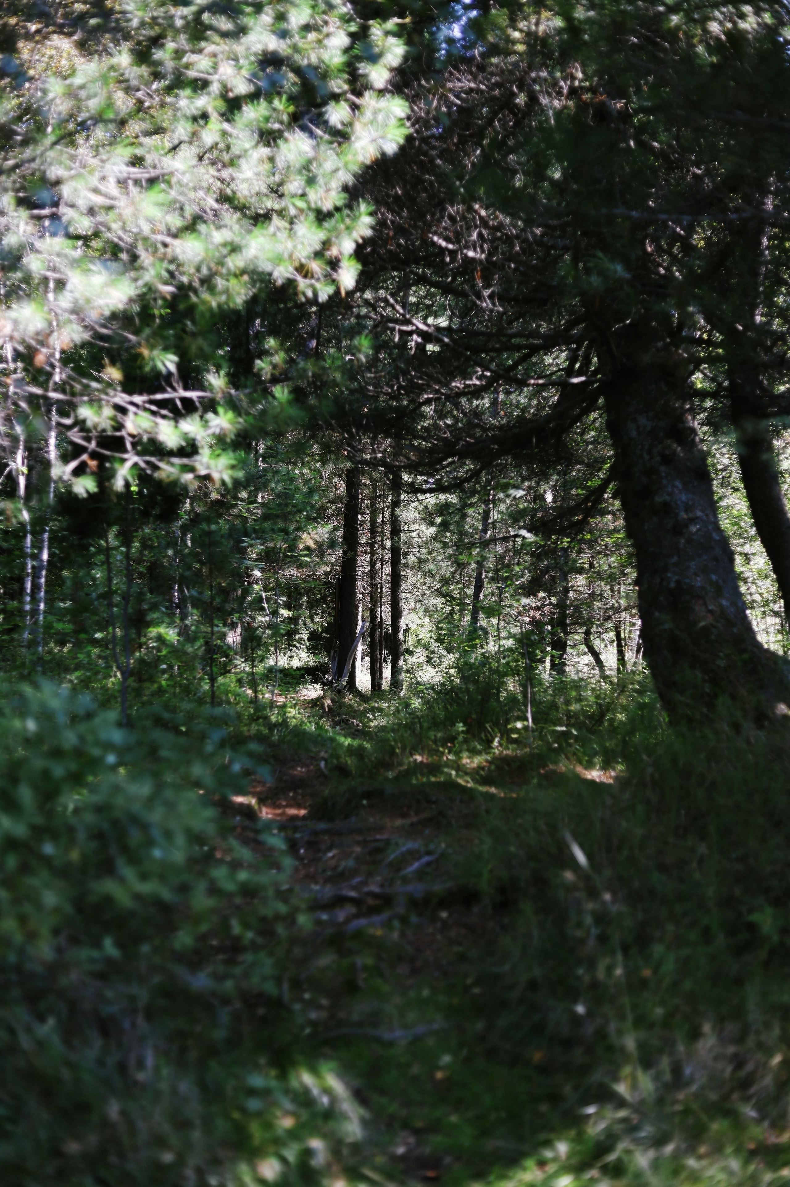 Лето 2024 / домики. 1642 — первый лагерь для взрослых на Байкале