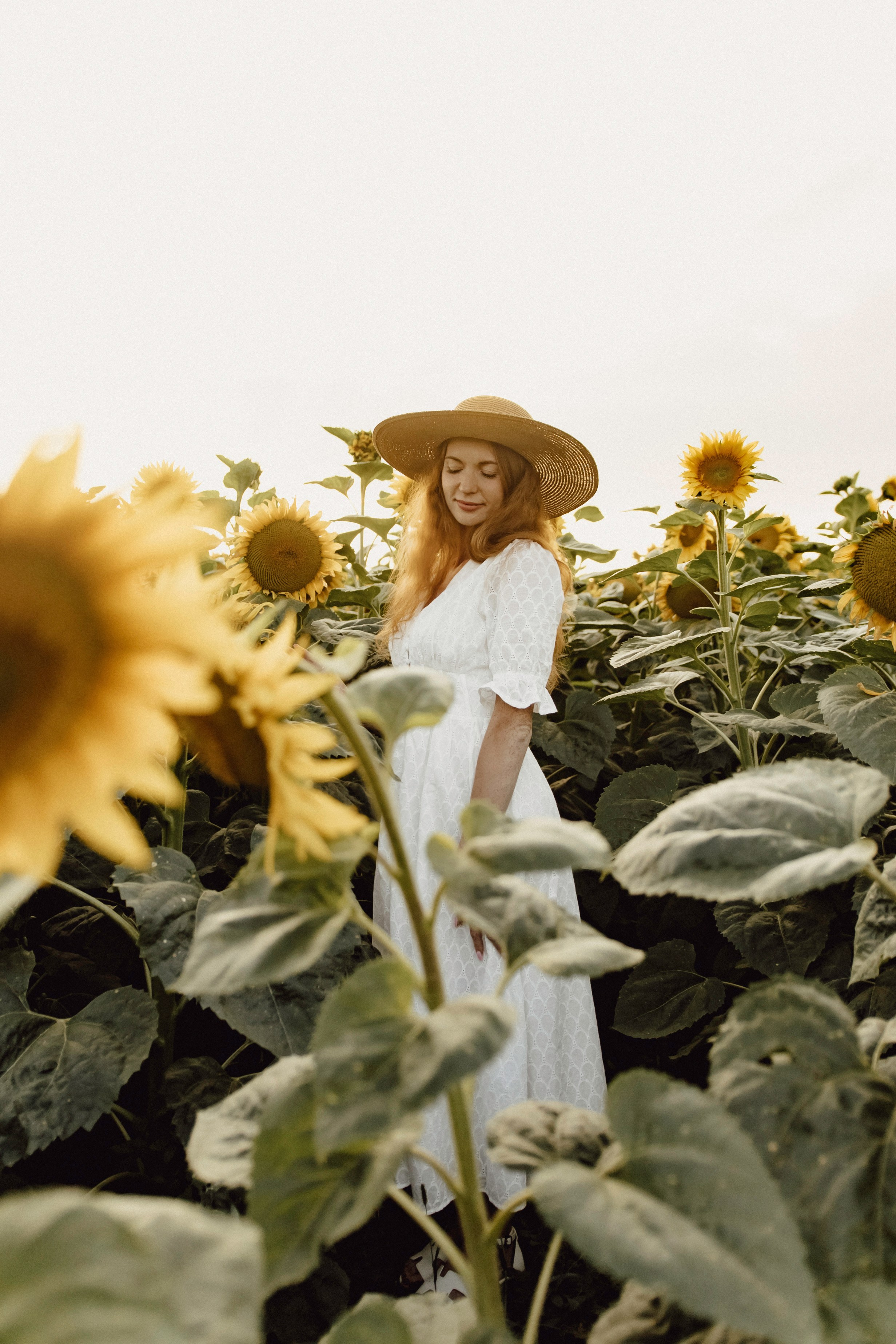 Елена в подсолнухах. Фотограф в Кирове и Кирово-Чепецке Валерия Шиляева