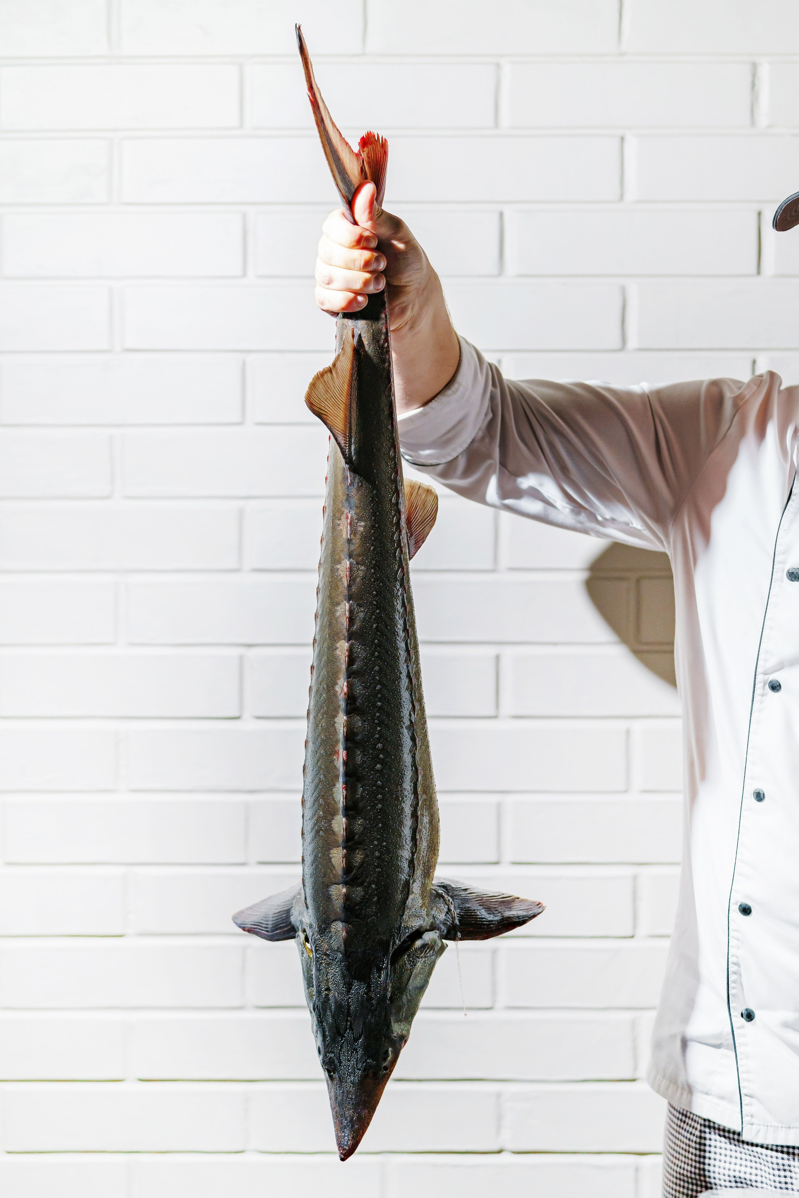 Ресторан «Murmansk». Контент фотограф в Москве Александр Хитько