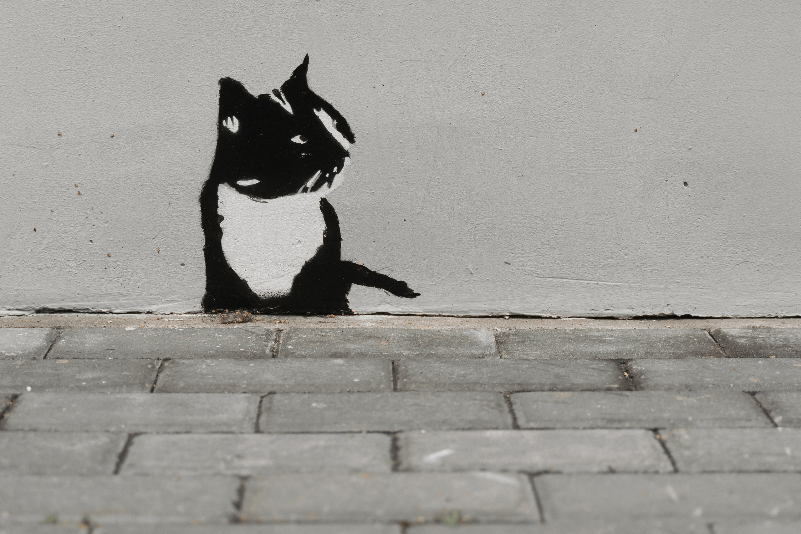 НОВЕНЬКИЙ. Свадебный фотограф Москва Светлана Анисимова