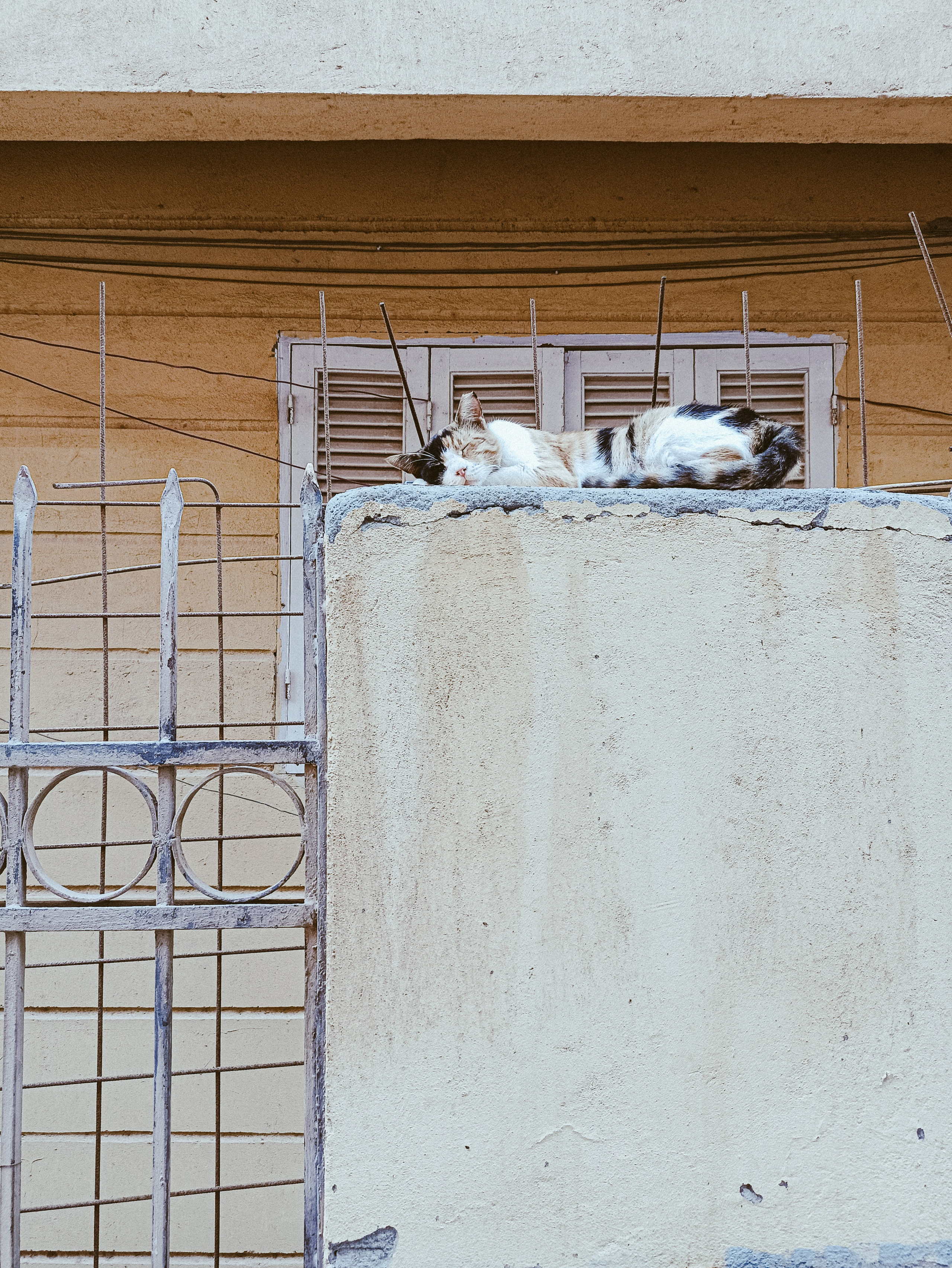 Мобильная. Jorgis — фотограф в Хургаде / обучение фотографии