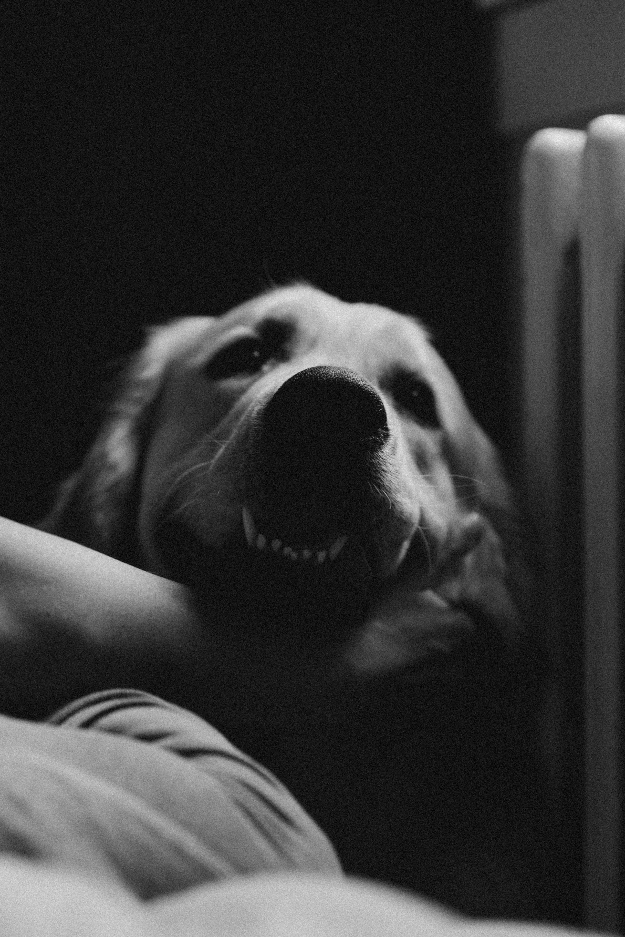 C’est entre nous. Photographe à Paris