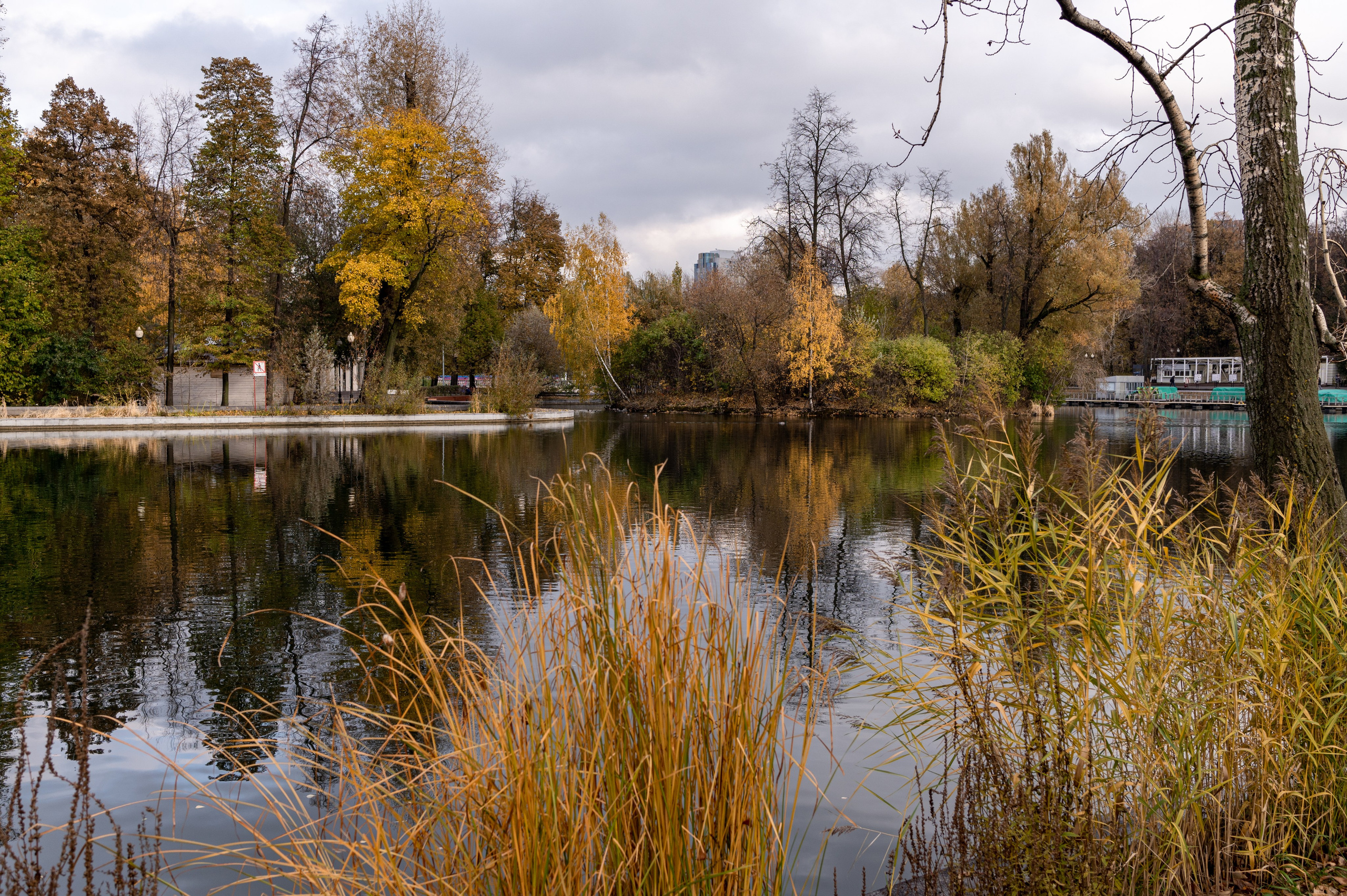 20231031 Нескучный сад. Дмитрий Ремизов. Фотография, как хобби
