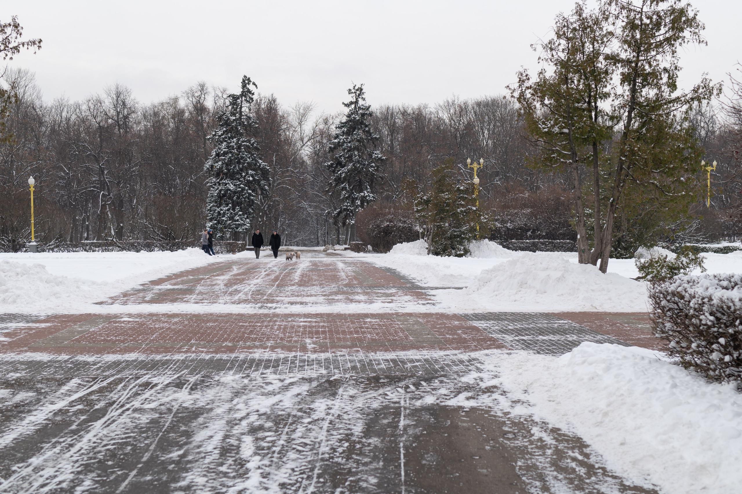 20231126 Смотровая. Дмитрий Ремизов. Фотография, как хобби