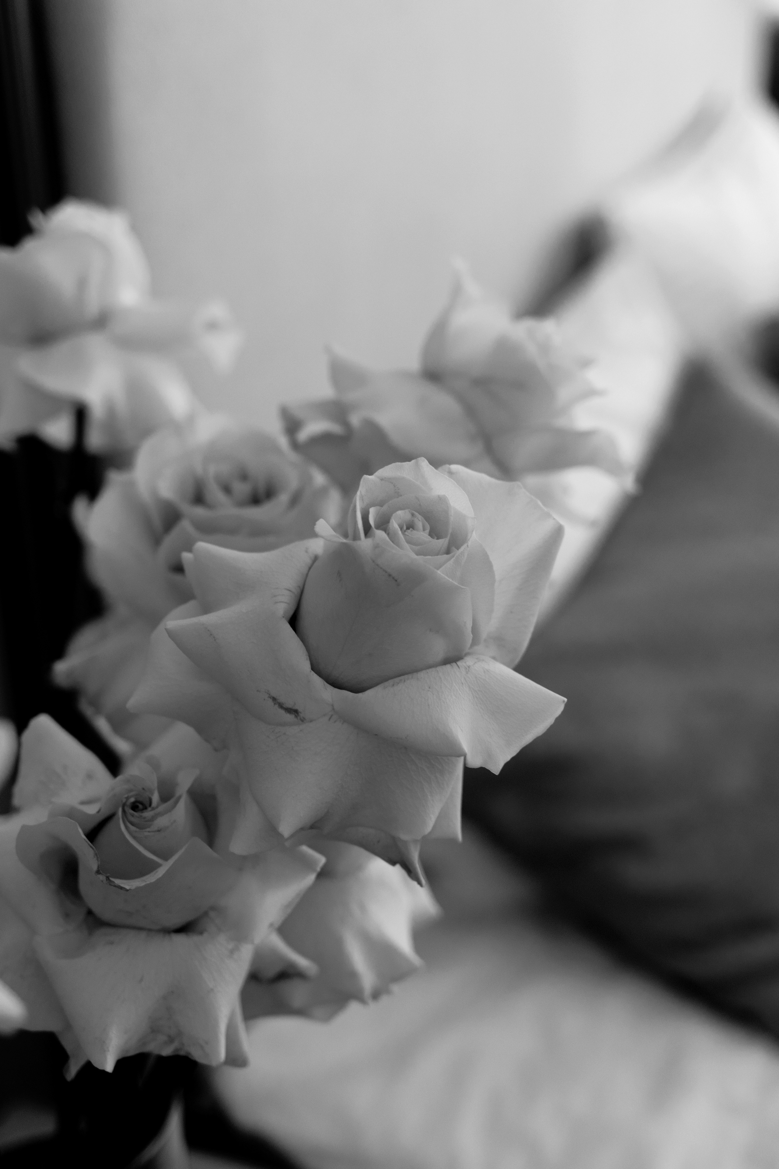 Александра и Борис. Семейный и свадебный фотограф в Крыму и в Севастополе Сазонова Эля