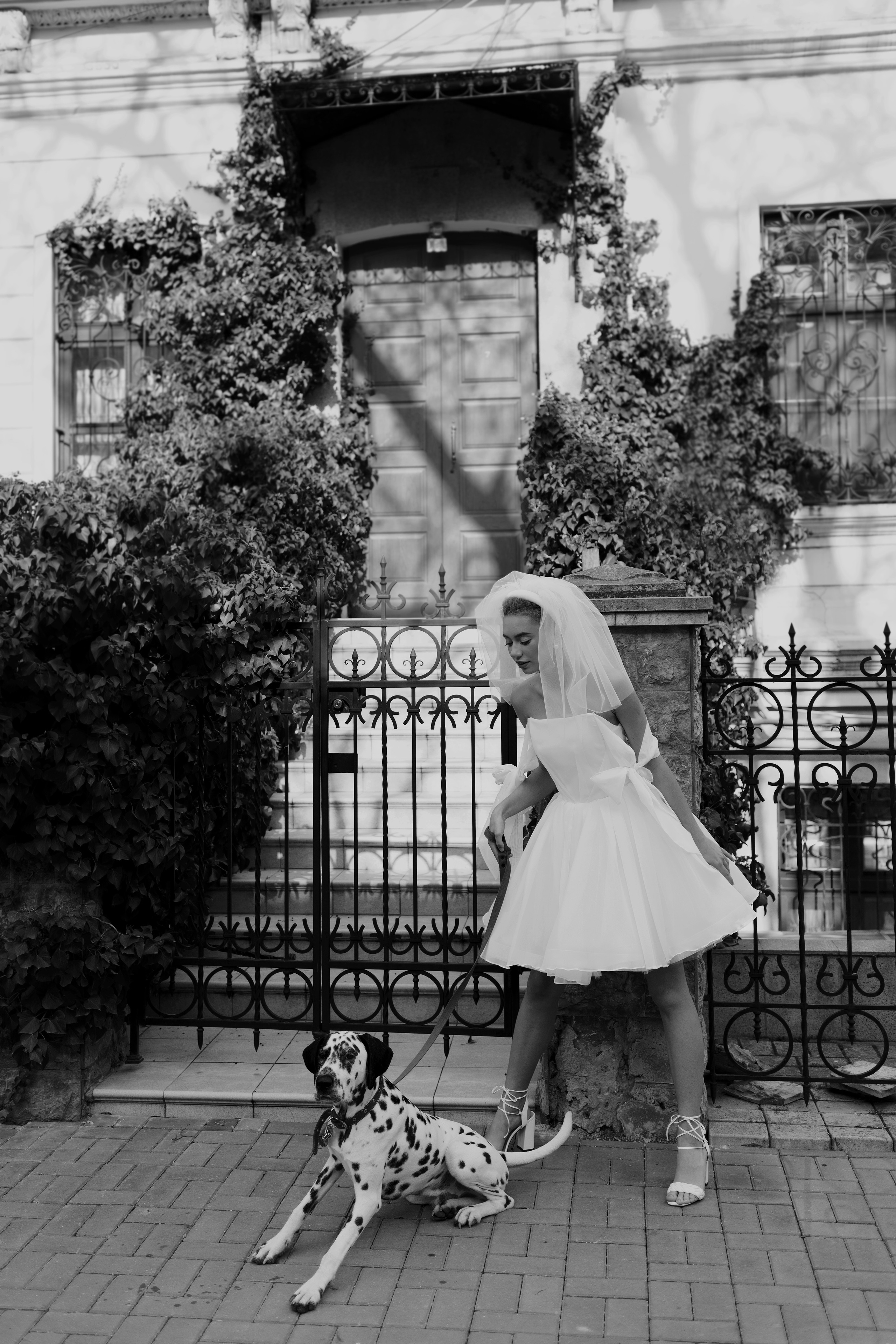 Анастасия и Скиф. Семейный и свадебный фотограф в Крыму и в Севастополе Сазонова Эля