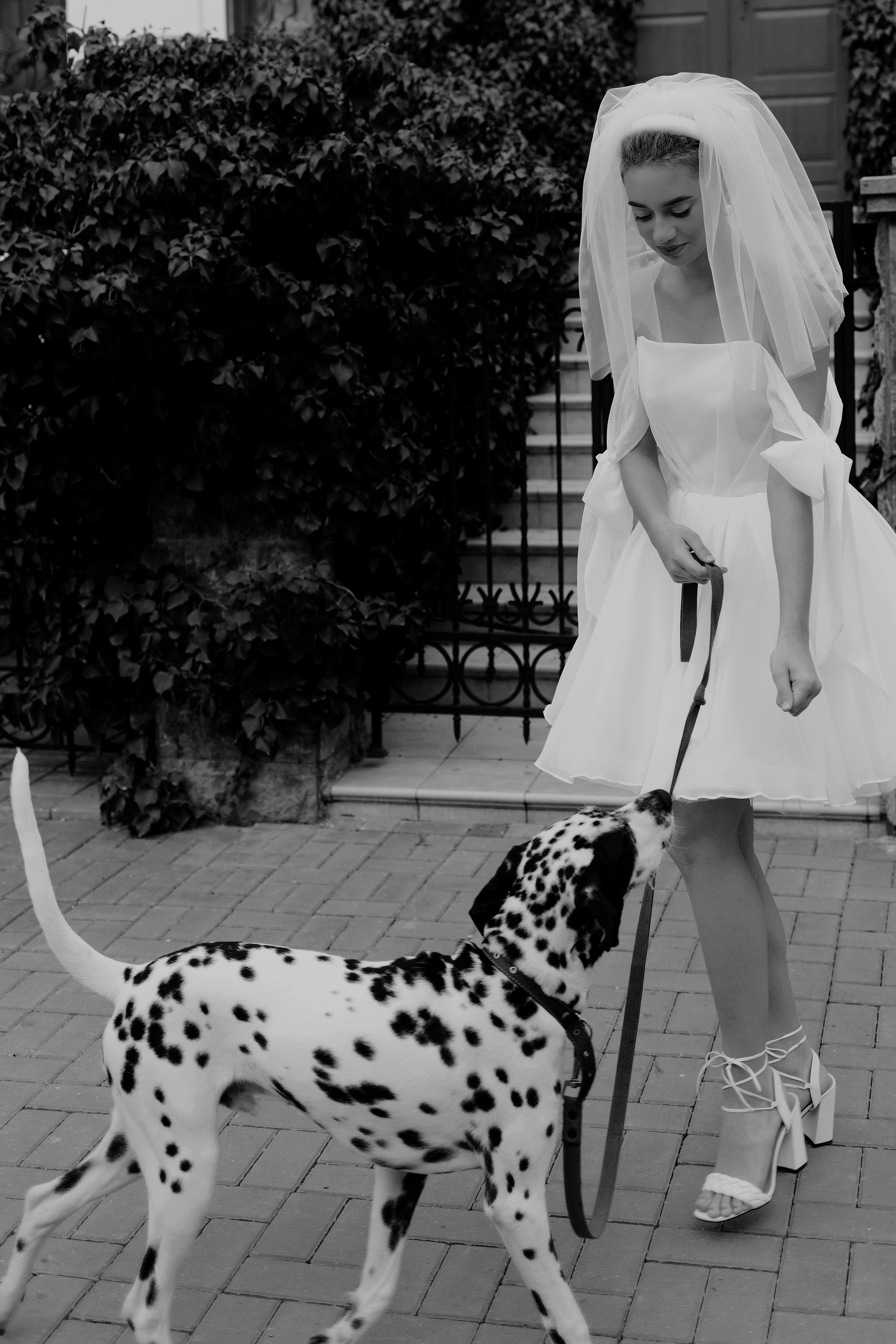 Анастасия и Скиф. Семейный и свадебный фотограф в Крыму и в Севастополе Сазонова Эля