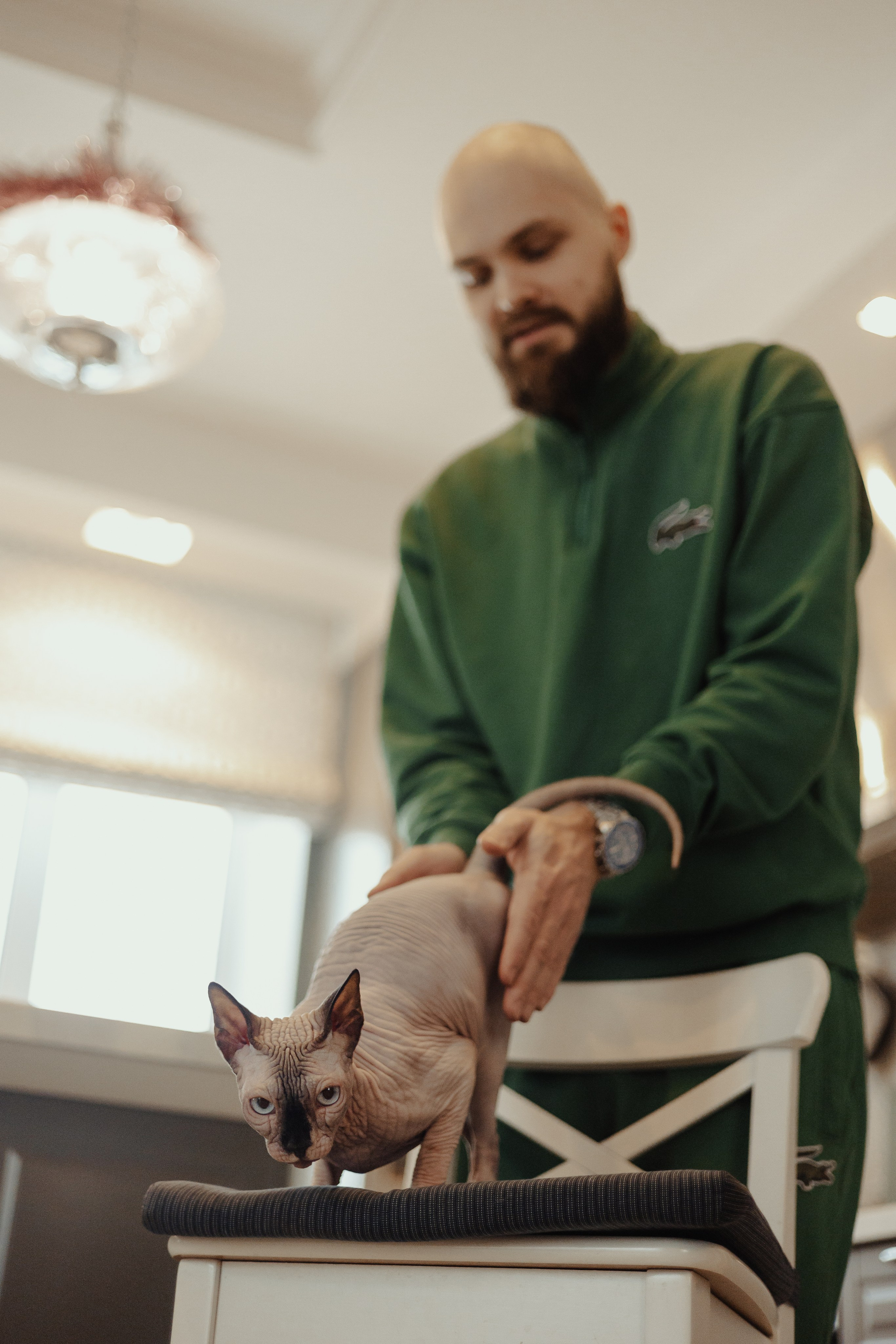 Алина, Илья и их хвосты. Фотограф Анималист Екатерина Справцева в Нижнем Новгороде