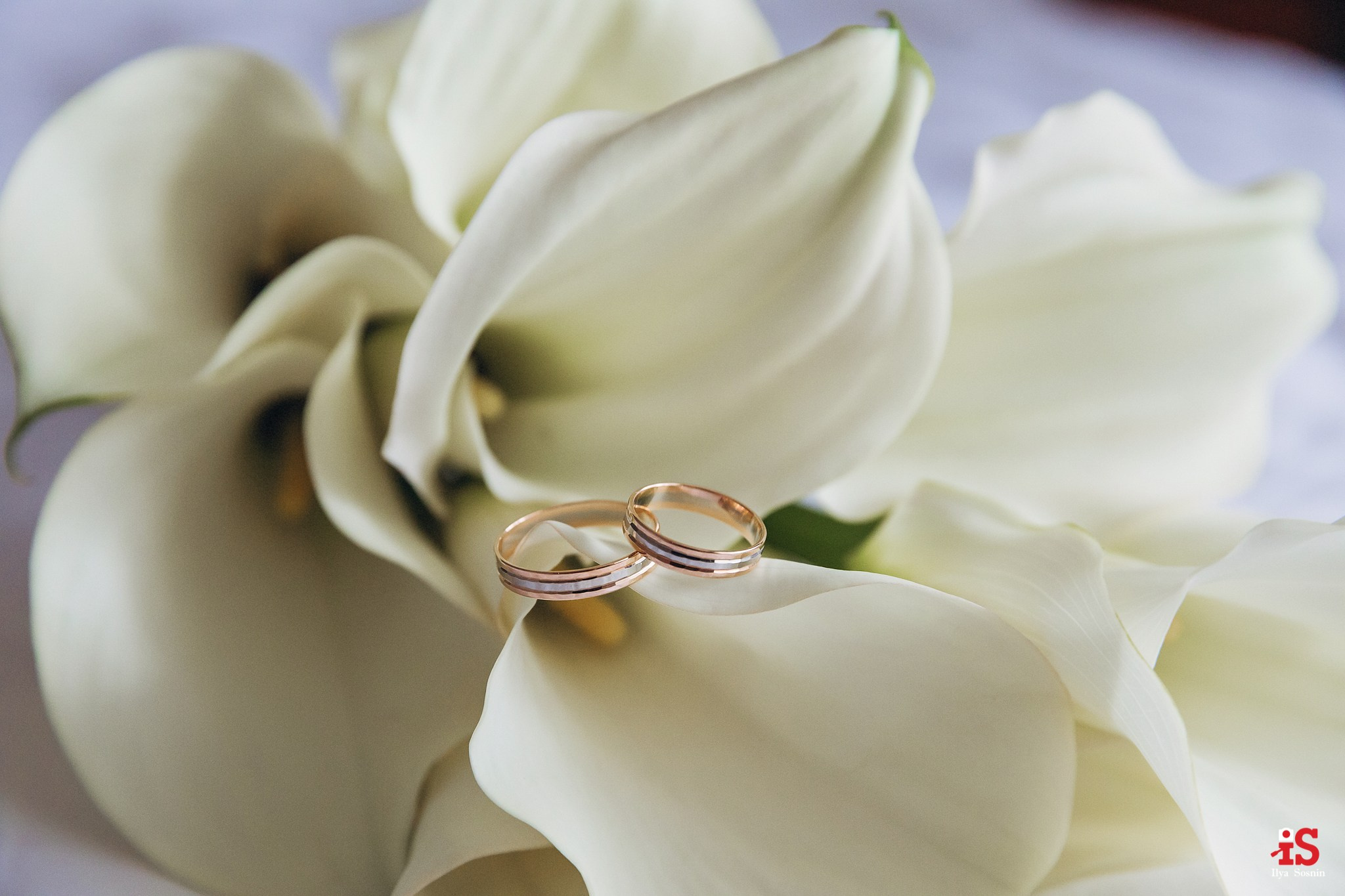 Александр и Елена. Профессиональный фотограф Петрозаводск Илья Соснин