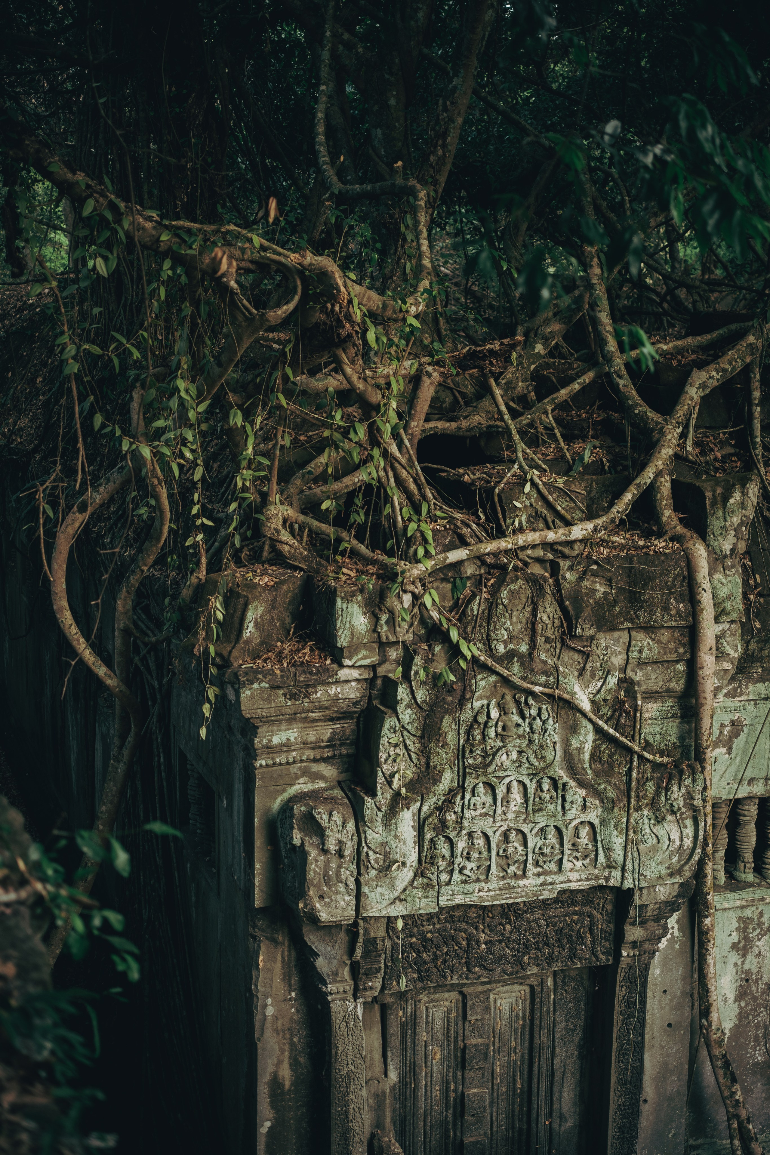 Cambodia. Dmitry Ippolitov