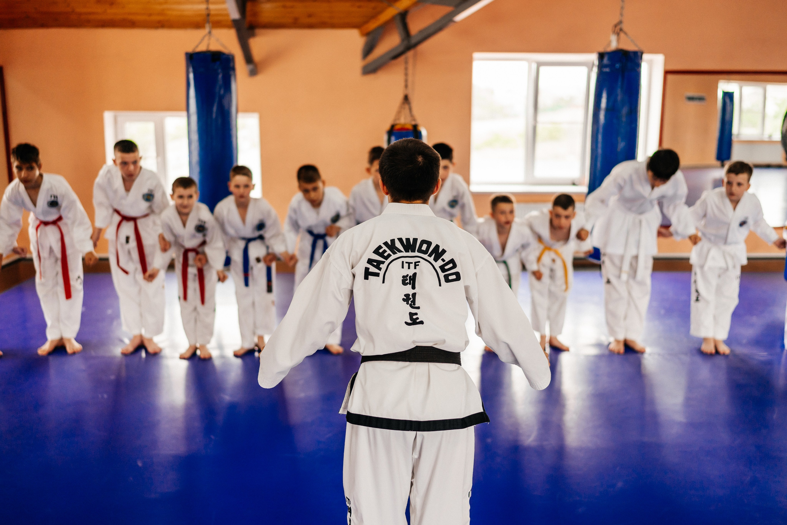 Съемка спортивных мероприятий. Taekwondo/2023. Семейный фотограф в Москве Ирина Жур