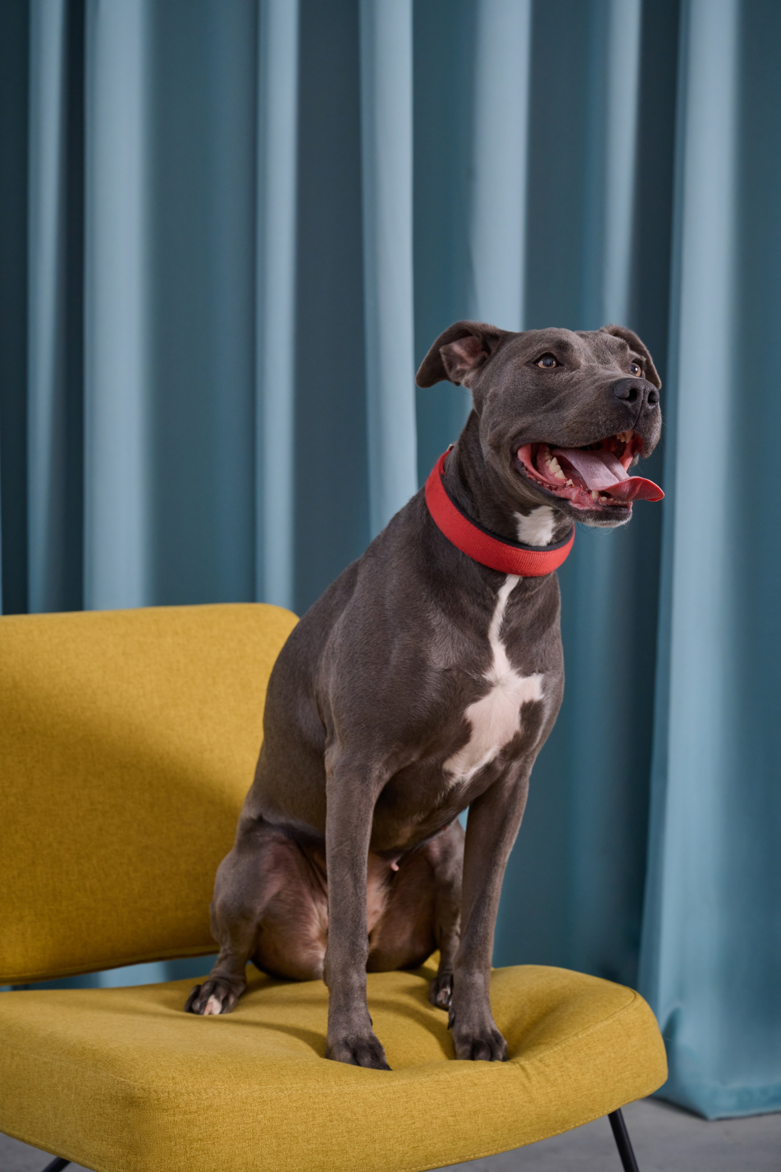 Корпоративная фотосъемка сотрудников. Фотограф в Москве