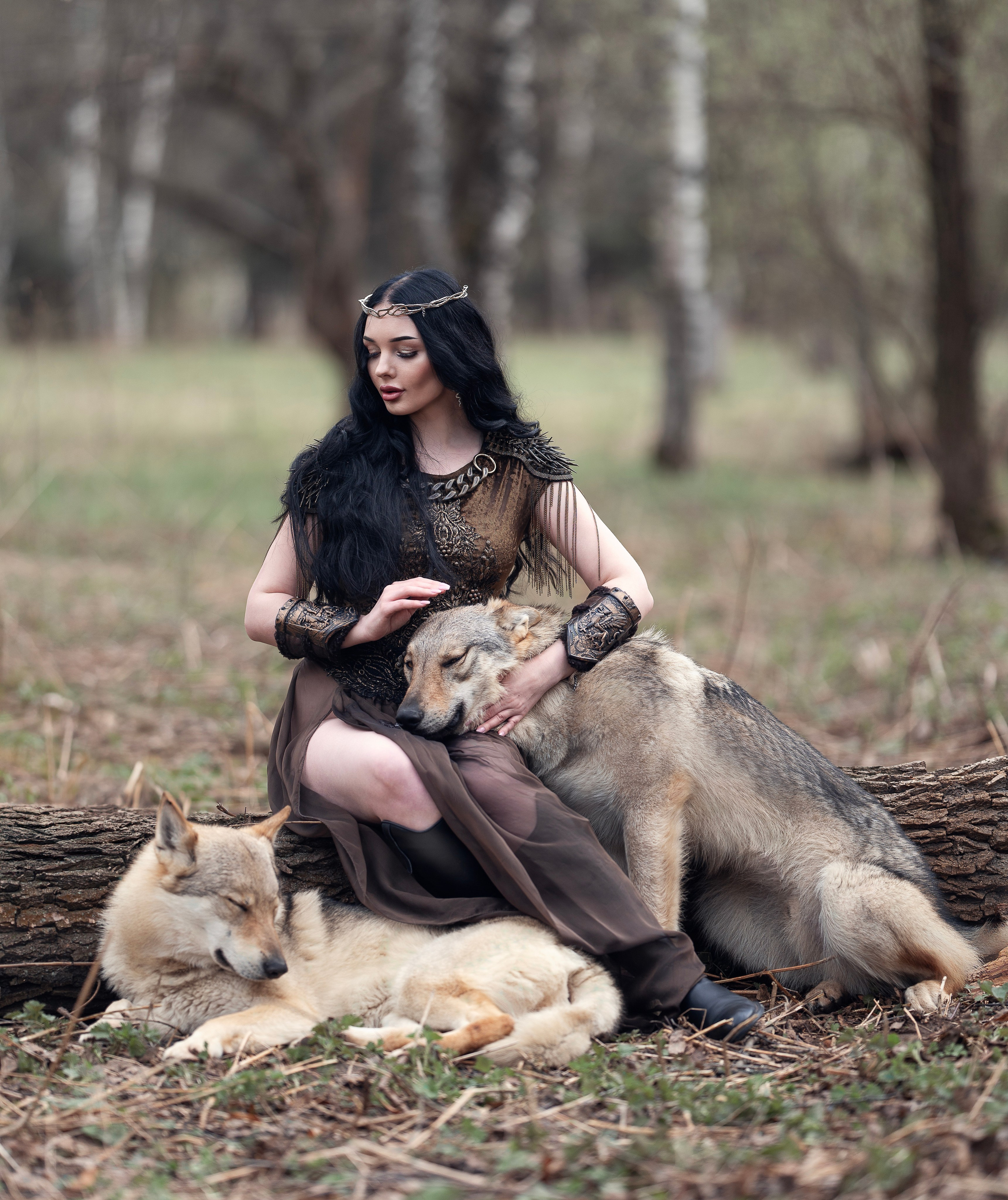 Волки. Профессиональный фотограф в Москве Марина Григорьева