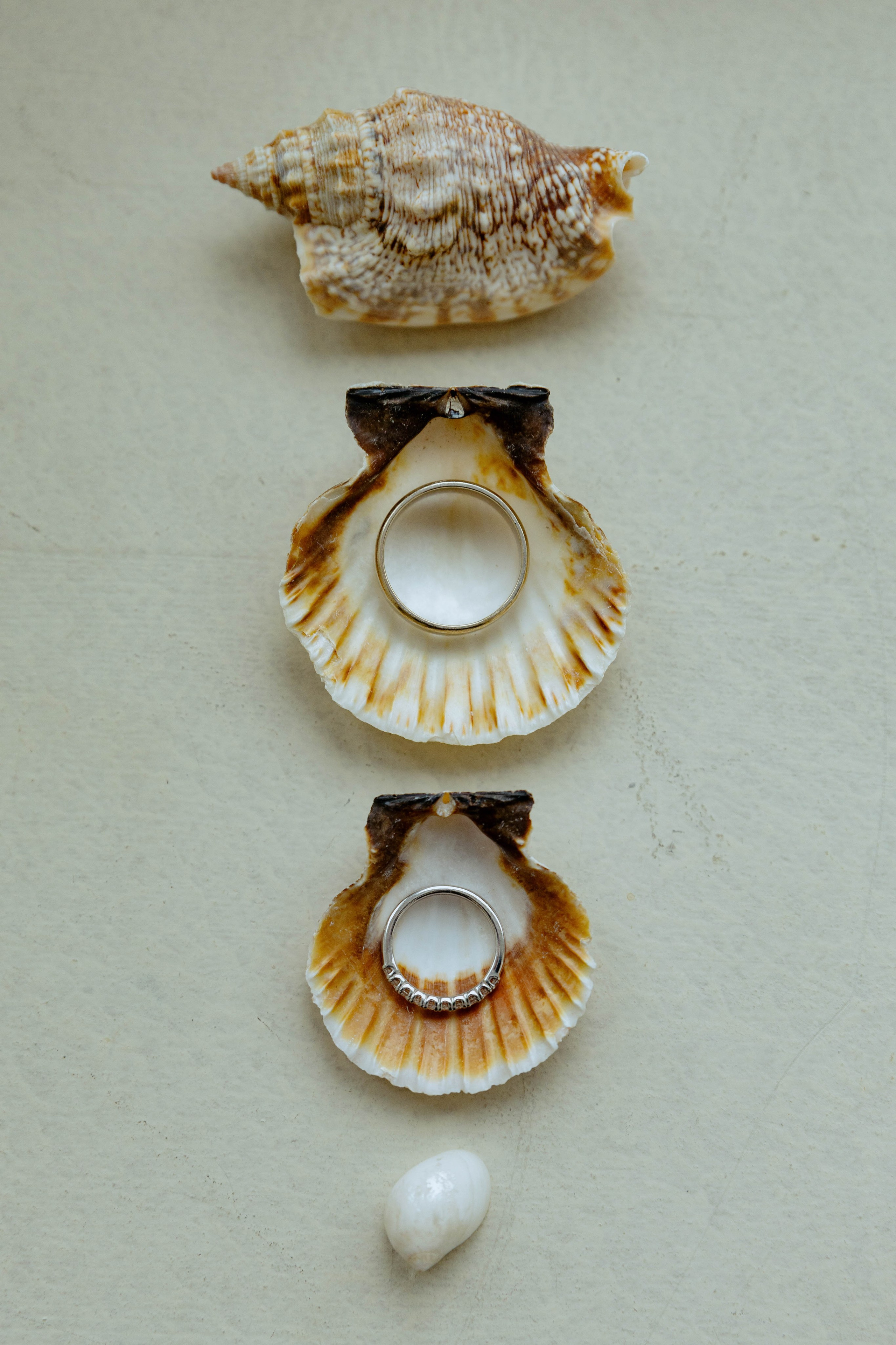 Евгений и Ангелина. Фотограф Юсова Мария