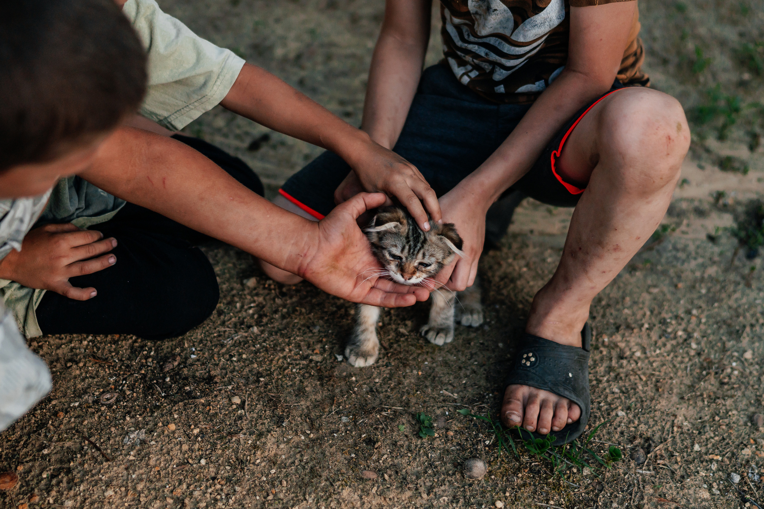 котик и дети 