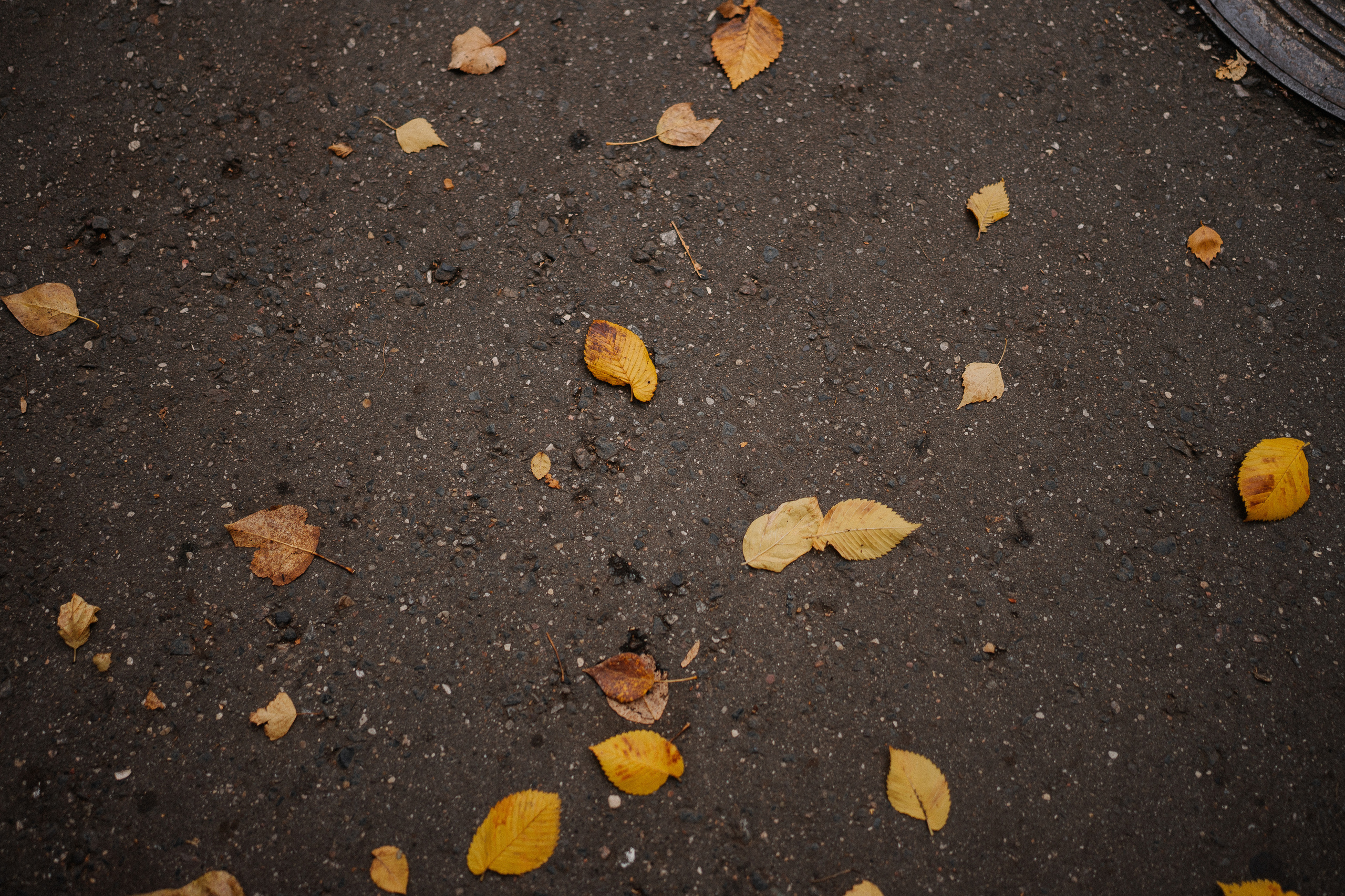 Семейная фотосессия в Москве. Семейный фотограф в Москве Ирина Жур