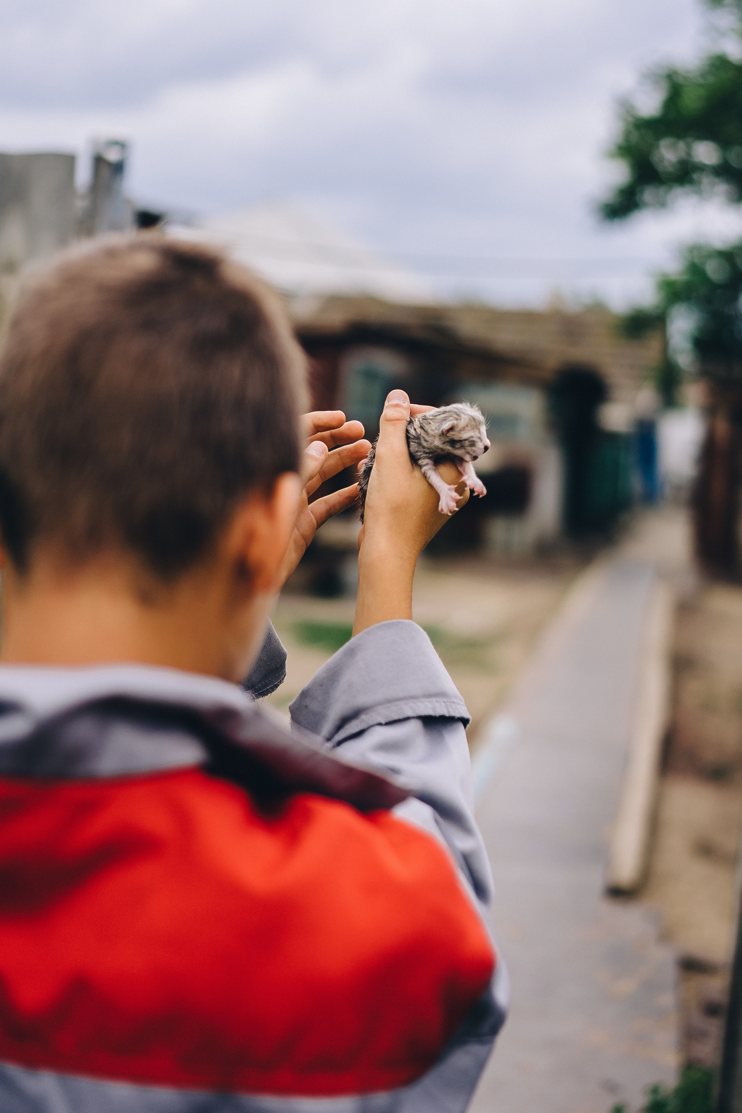 Каникулы в деревне. Семейный фотограф в Москве Ирина Жур