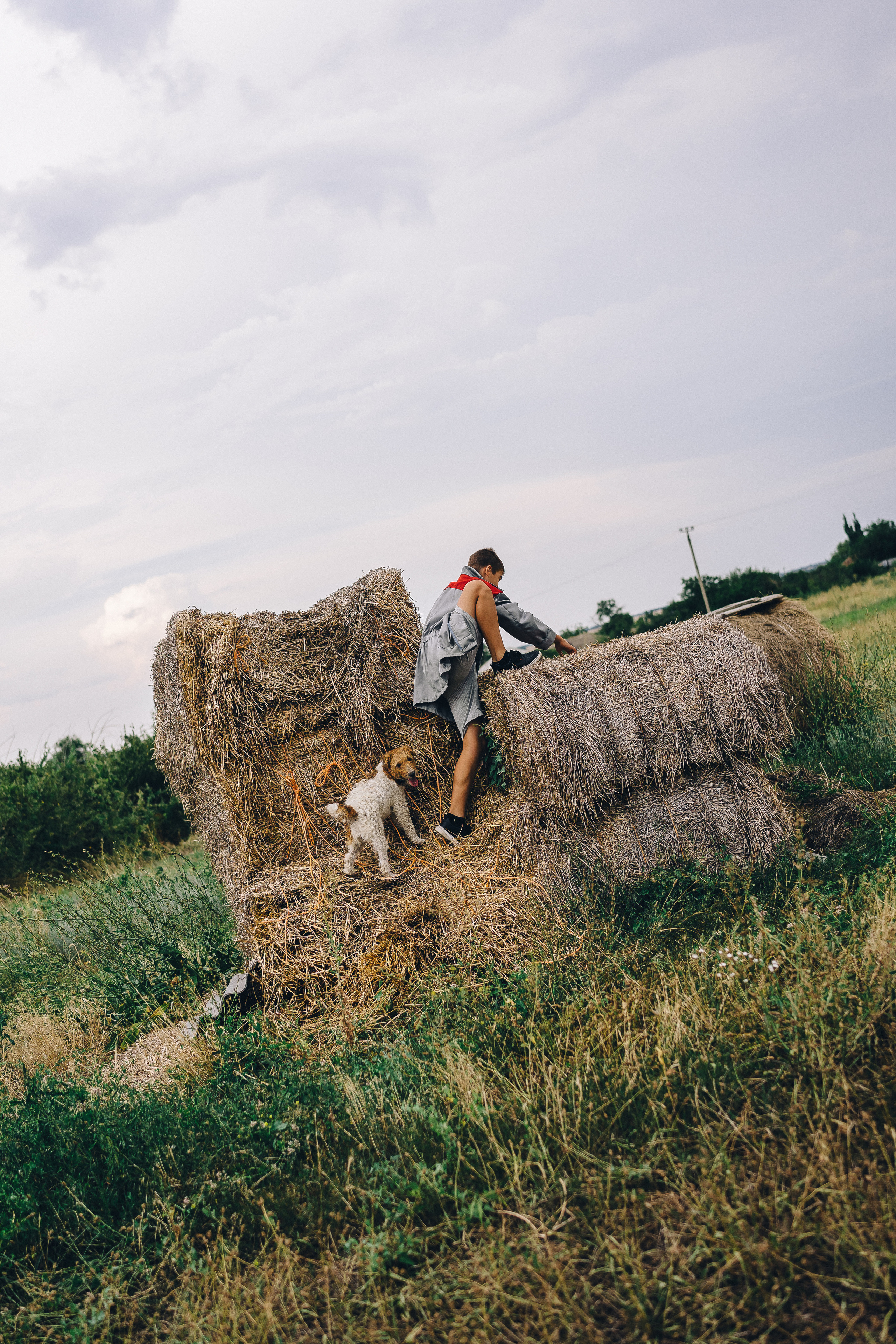 Каникулы в деревне. Семейный фотограф в Москве Ирина Жур