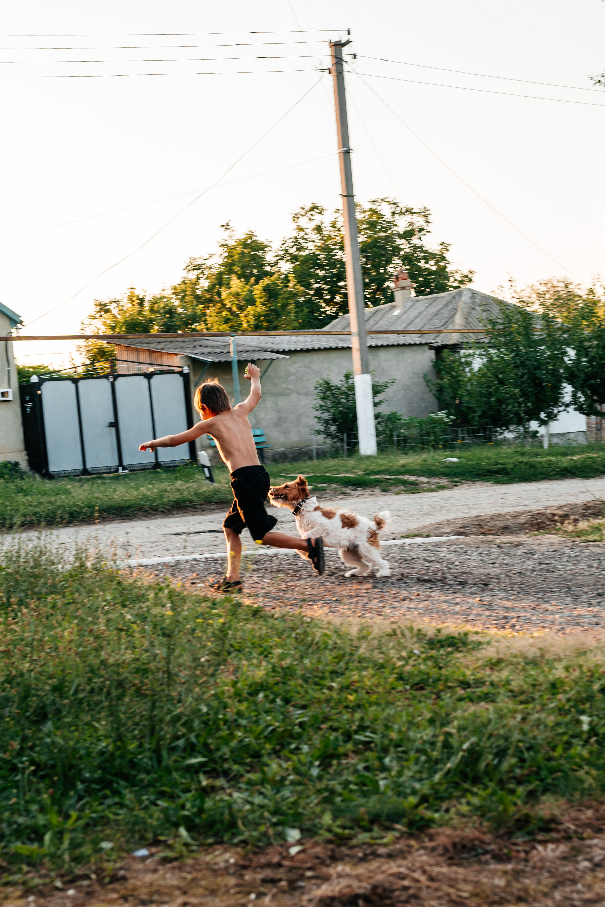 мальчик бежит от собаки 