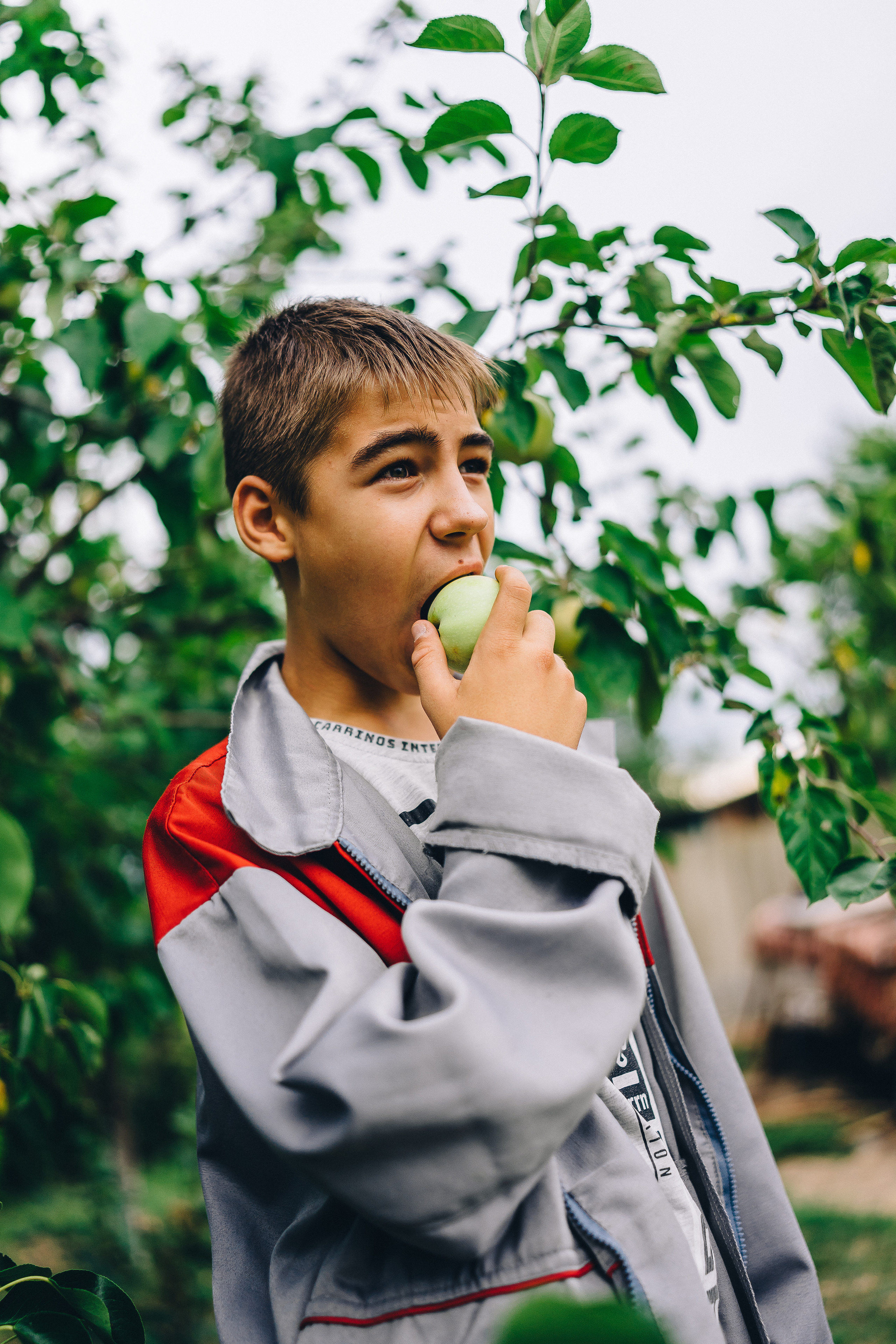 мальчик ест яблоко 