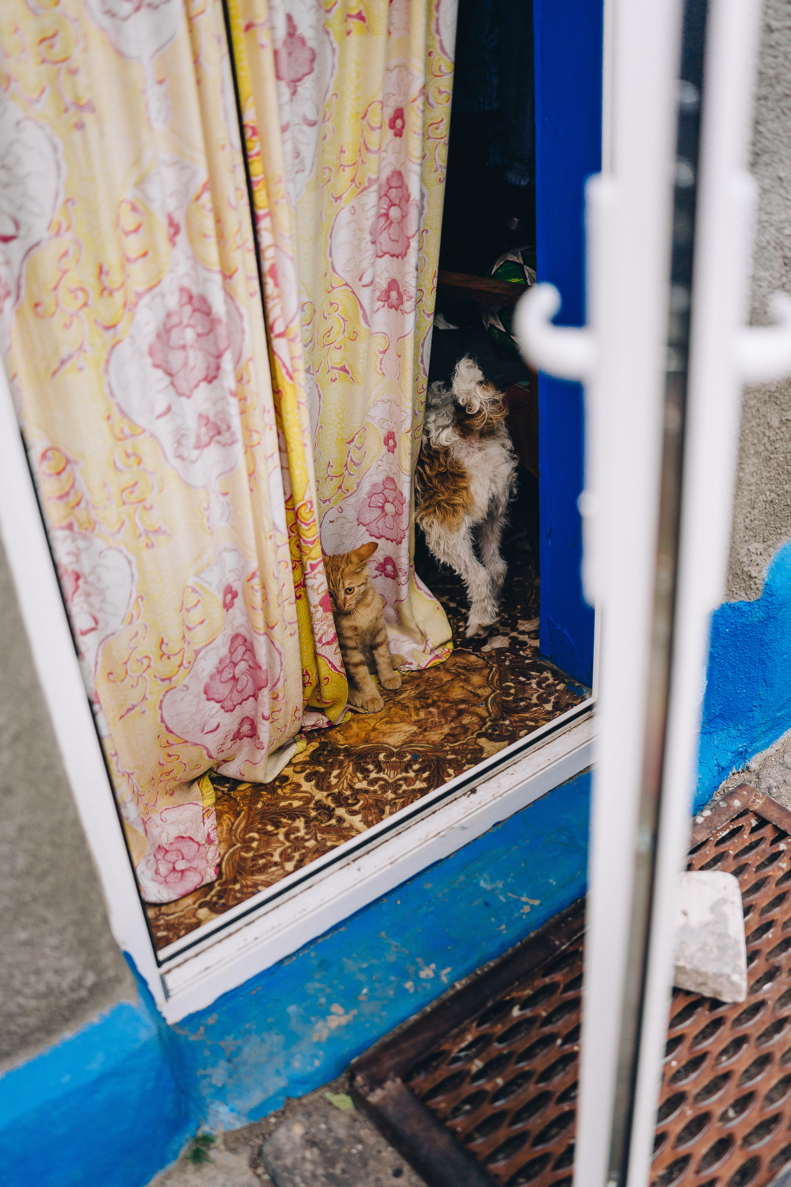 Каникулы в деревне. Семейный фотограф в Москве Ирина Жур